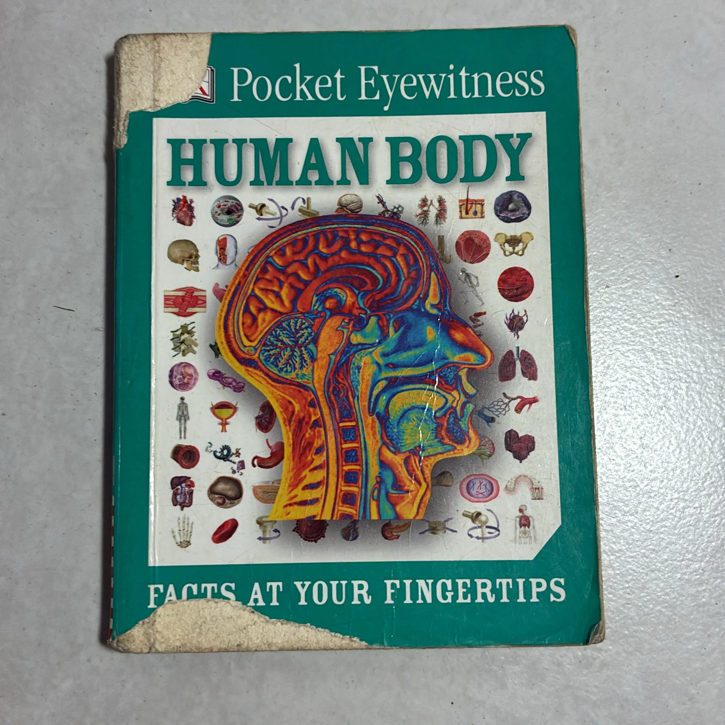 Pocket Eyewitness Human Body