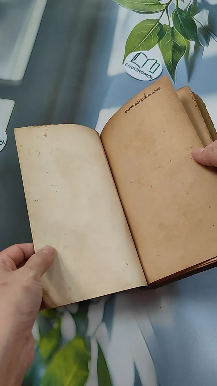 [XƯA] Quãng Đời Xưa In Bóng (1990) - Dũng Hà 776083