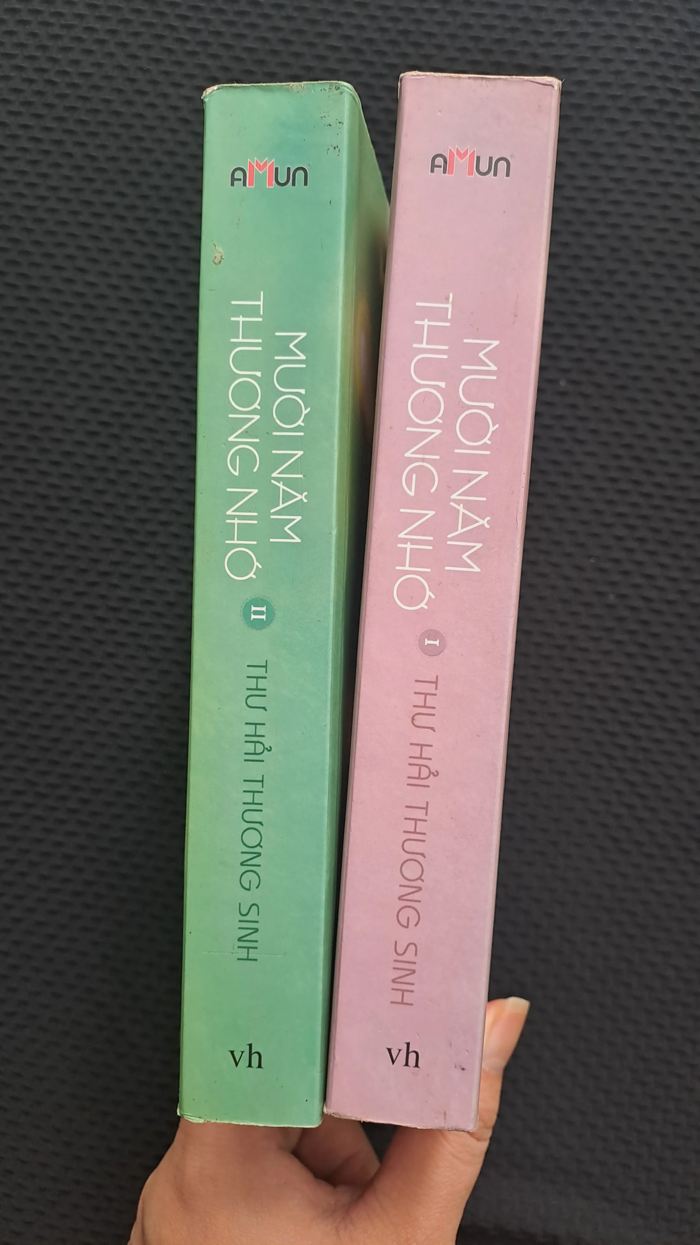 Mười năm thương nhớ - Thư Hải Thương Sinh 981472