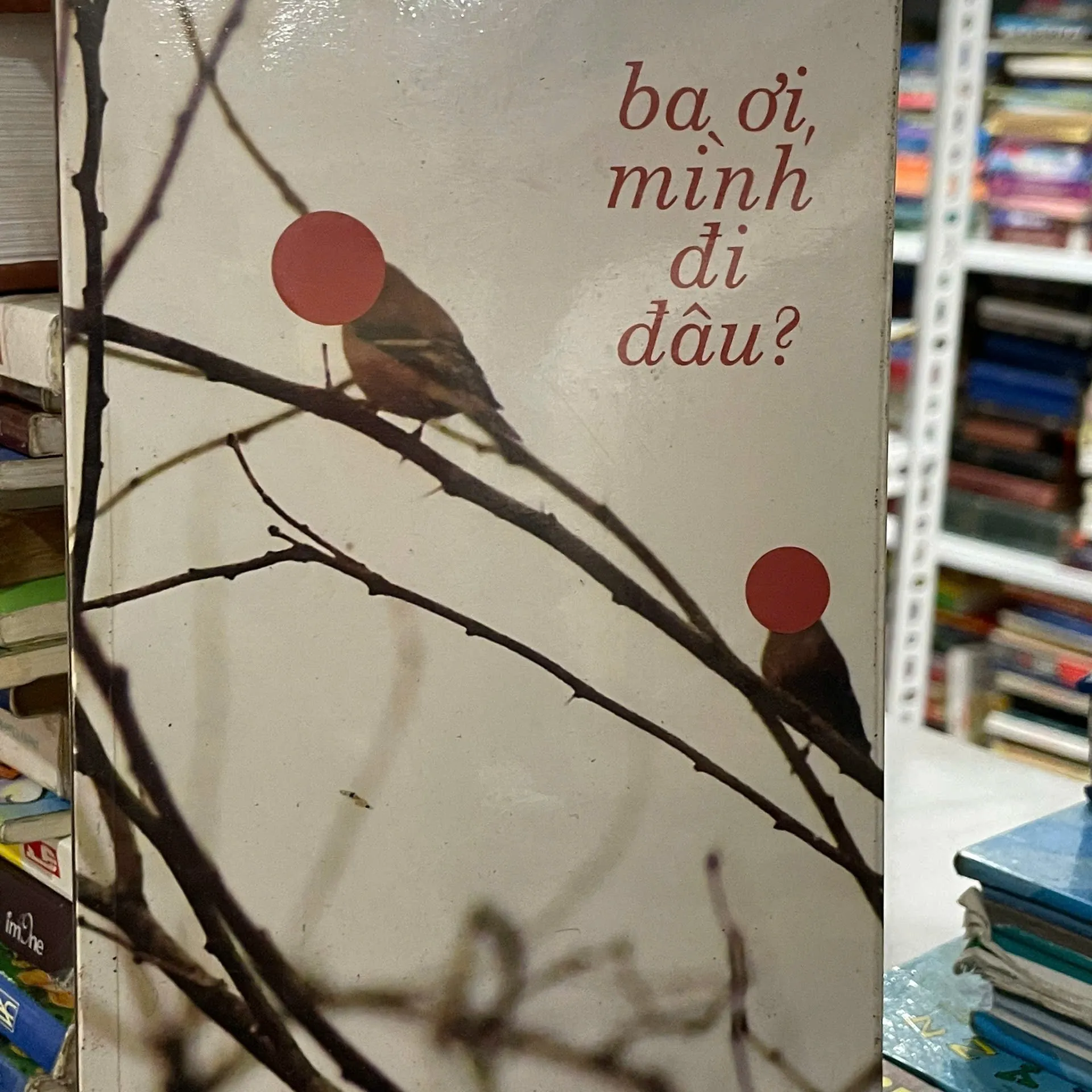 Ba ơi, mình đi đâu?✨️