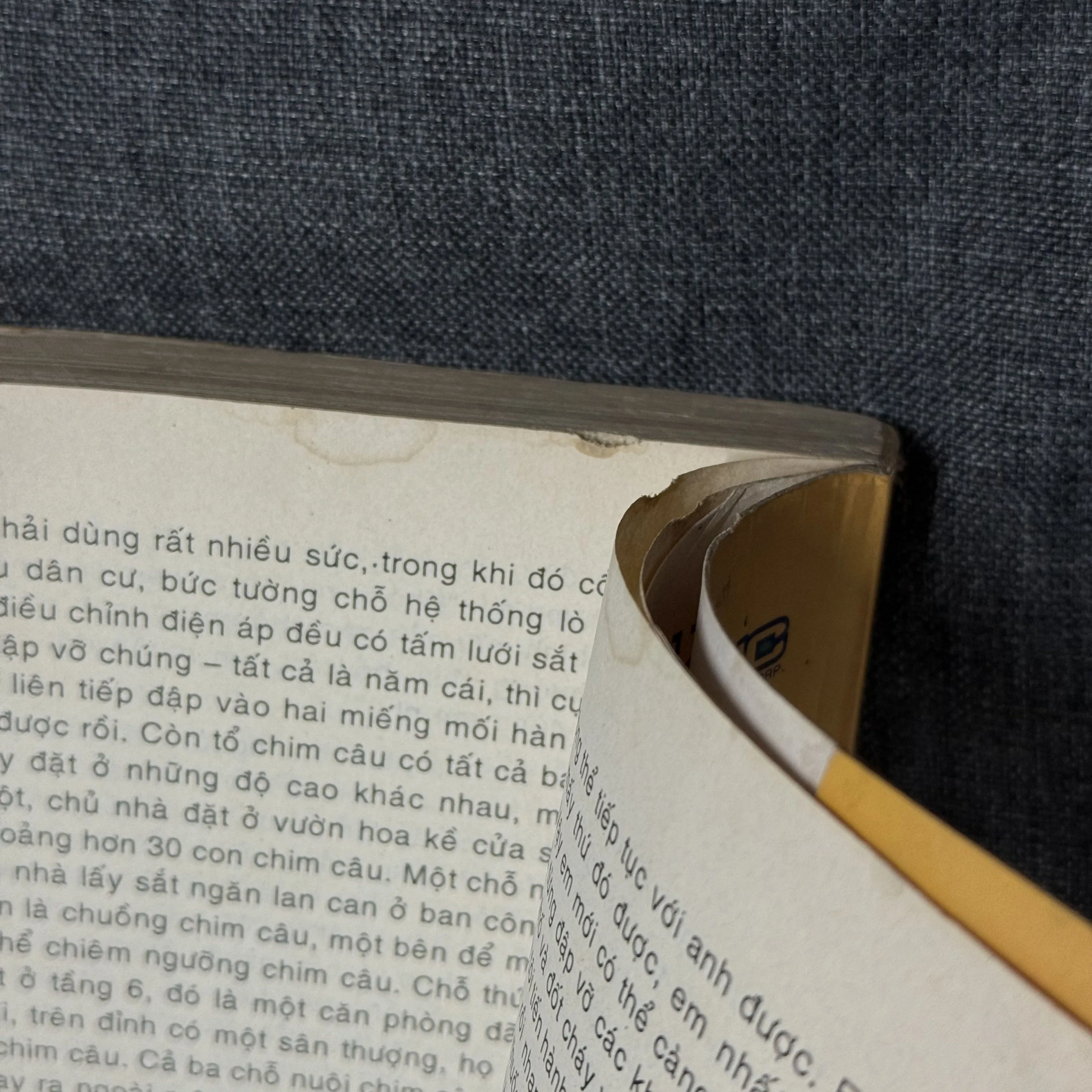 Không độ yêu - Khâu Hoa Đông 1002909