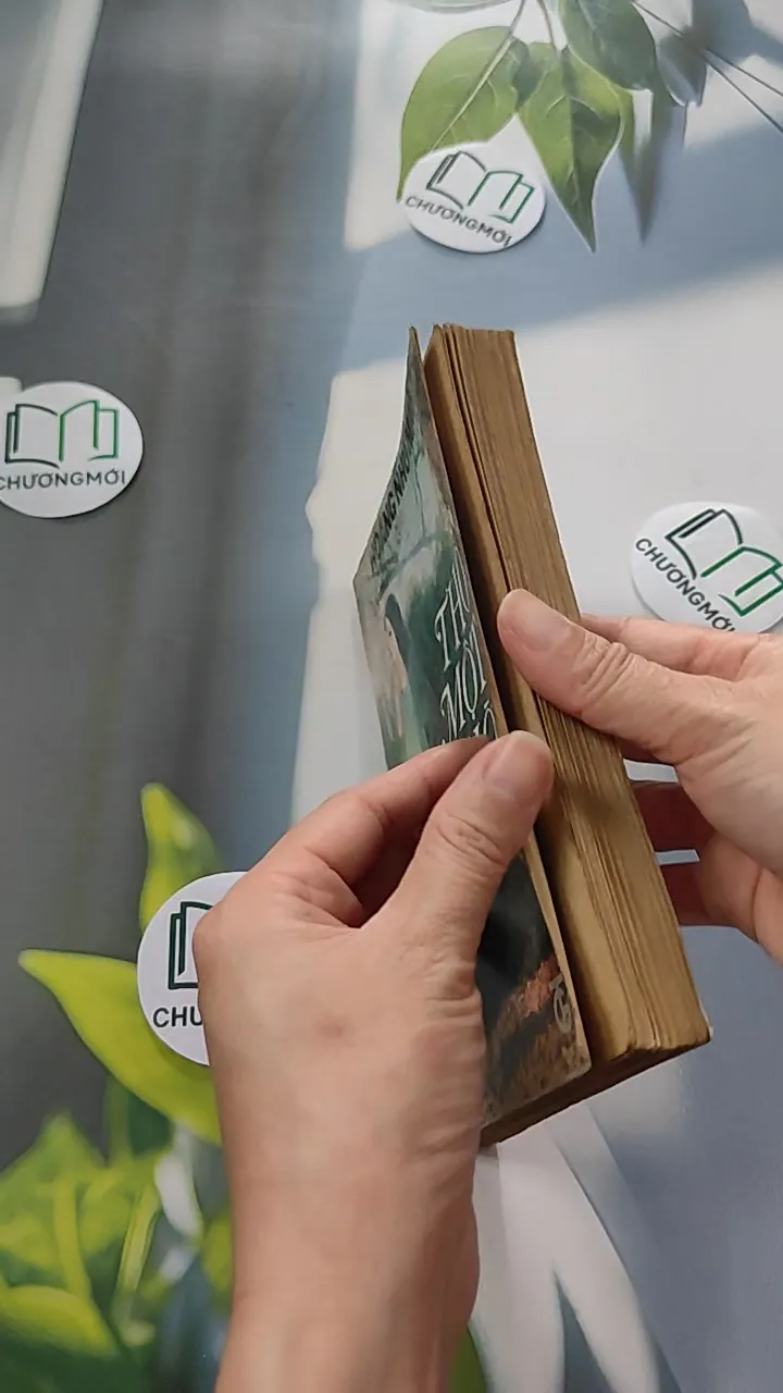 [XƯA] Thơ Một Thời - Bình Thơ (1989) - Hoàng Như Mai 776054