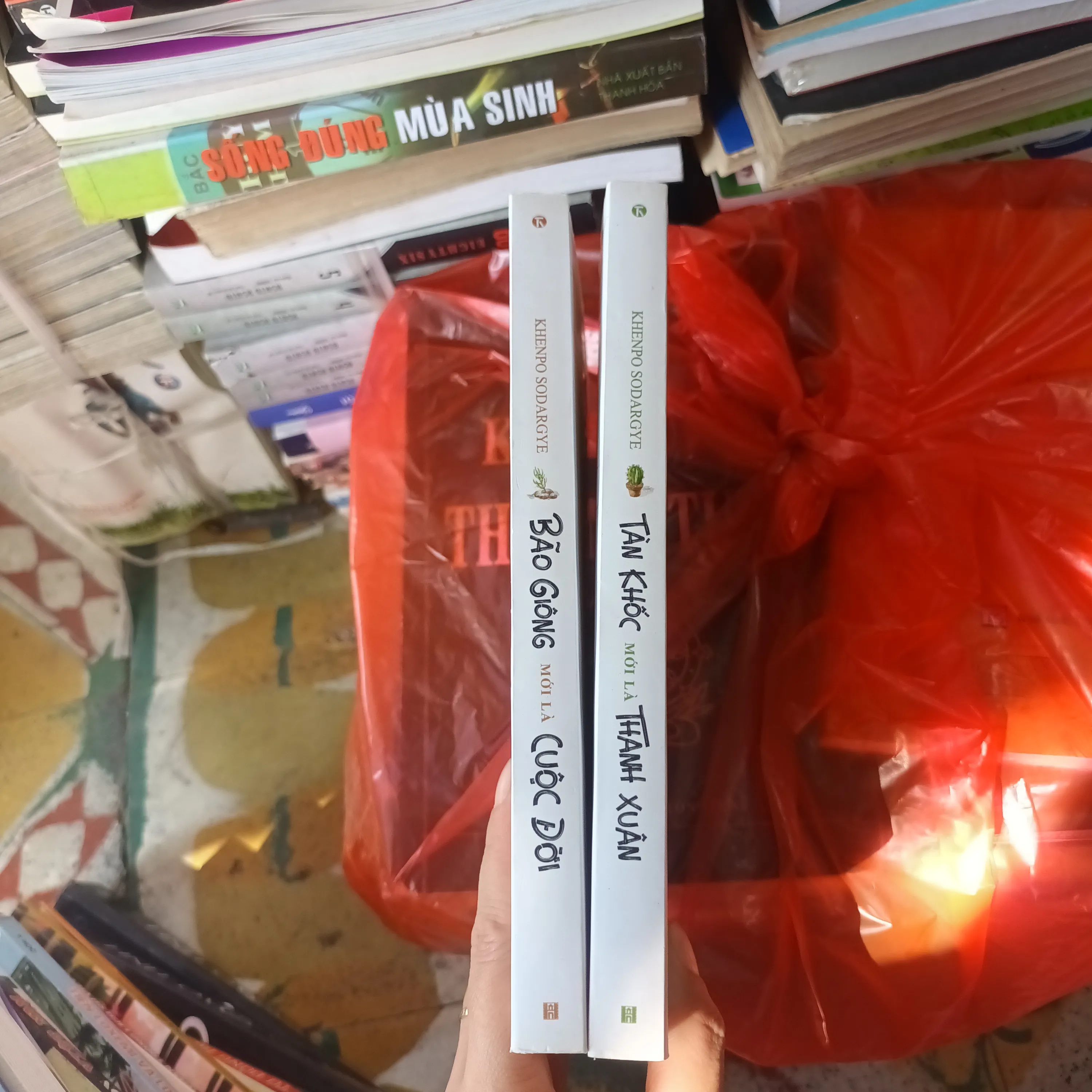 Combo 2c Tàn Khốc Mới Là Thanh Xuân Và Bão Giông Mới Là Cuộc Đời 694042