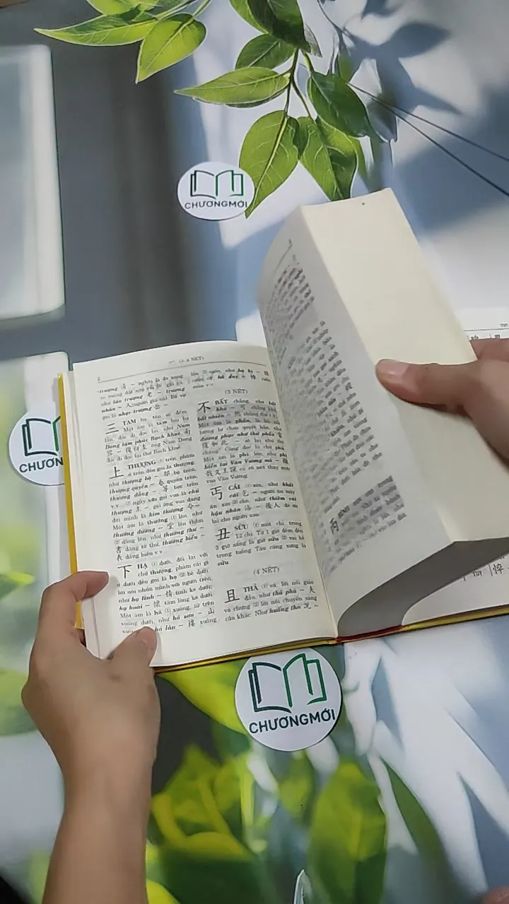 [MIỄN PHÍ BỌC SÁCH] Hán Việt Tự Điển - Thiều Chửu 750810