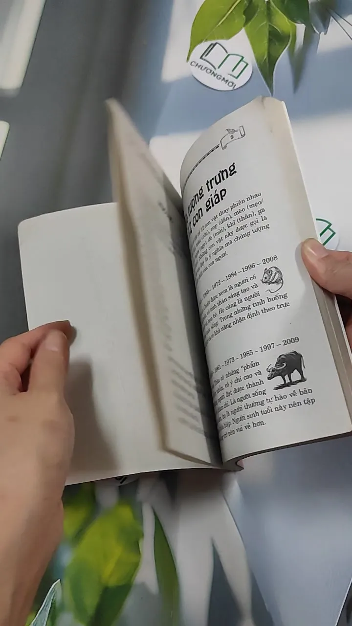 12 Con Giáp: Tình Duyên & Sự Nghiệp - Kỳ Anh 776127