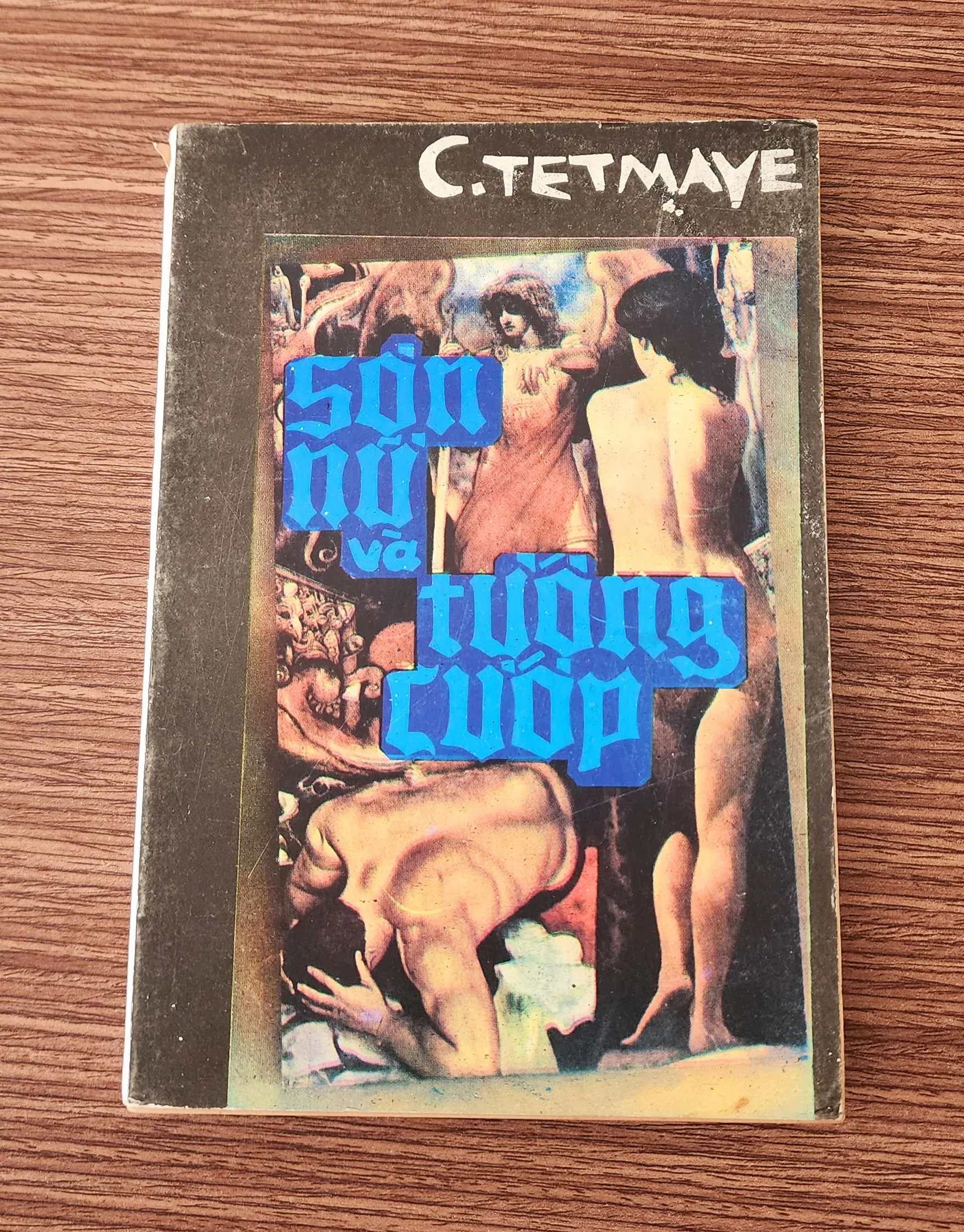 Tiểu thuyết SƠN NỮ & TƯỚNG CƯỚP