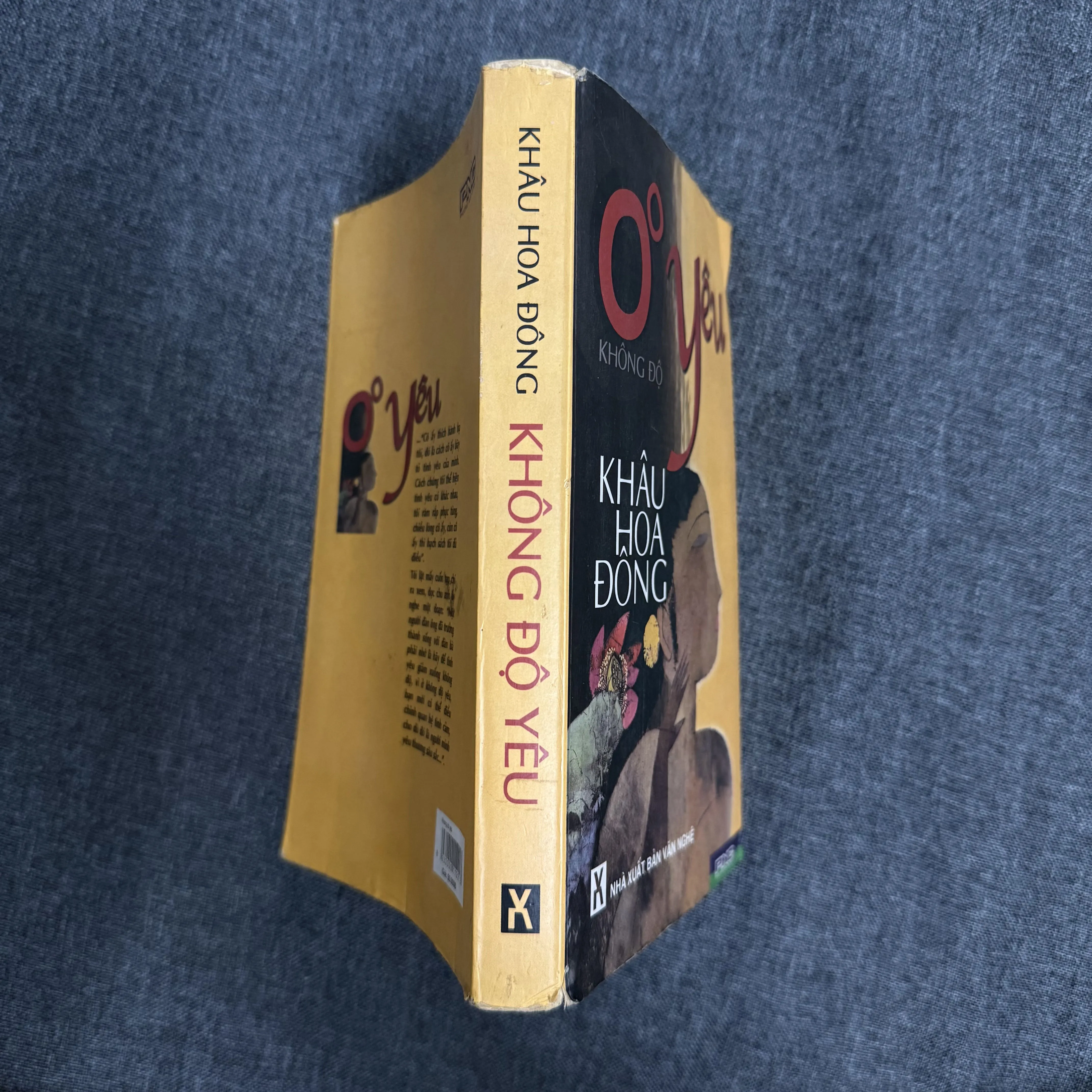 Không độ yêu - Khâu Hoa Đông 1002909