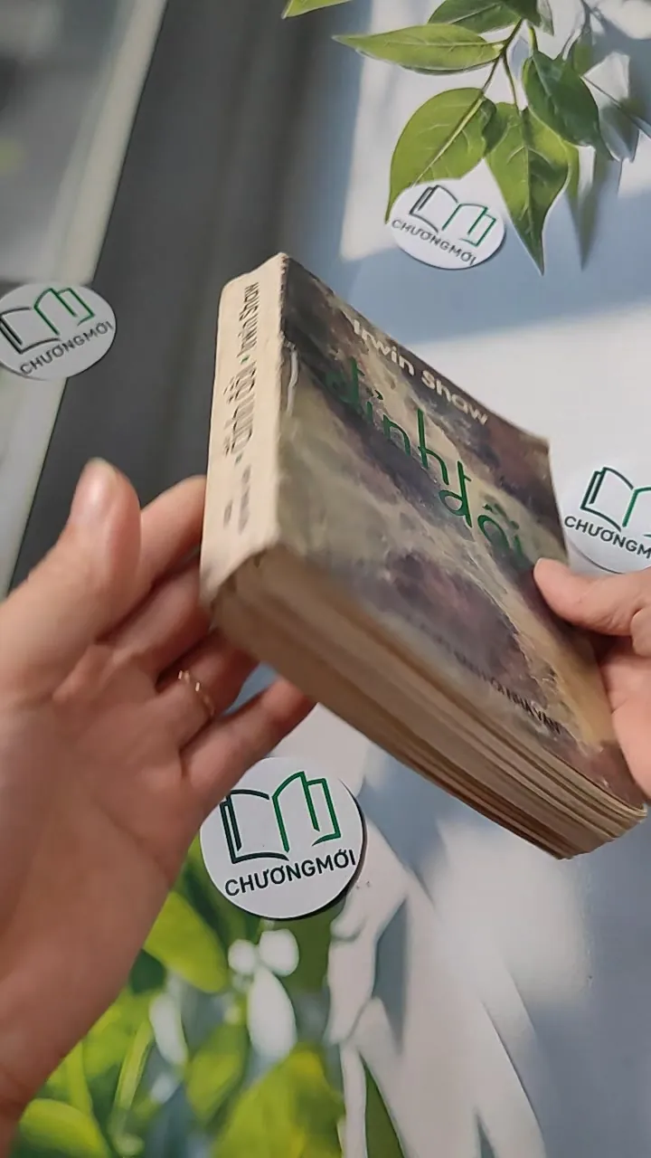 [XƯA] Đỉnh Đồi (1994) - Irwin Shaw 776066