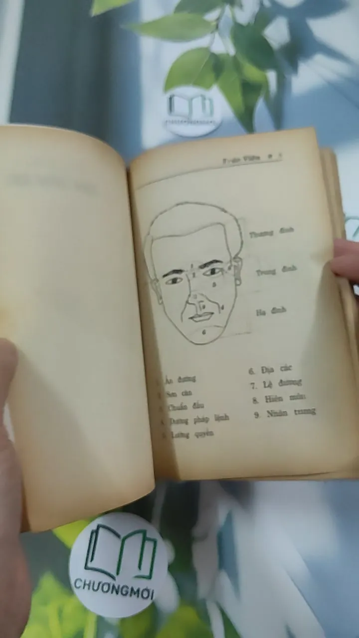 Tìm Hiểu Nhân Tướng Học - Trúc Viên 776043