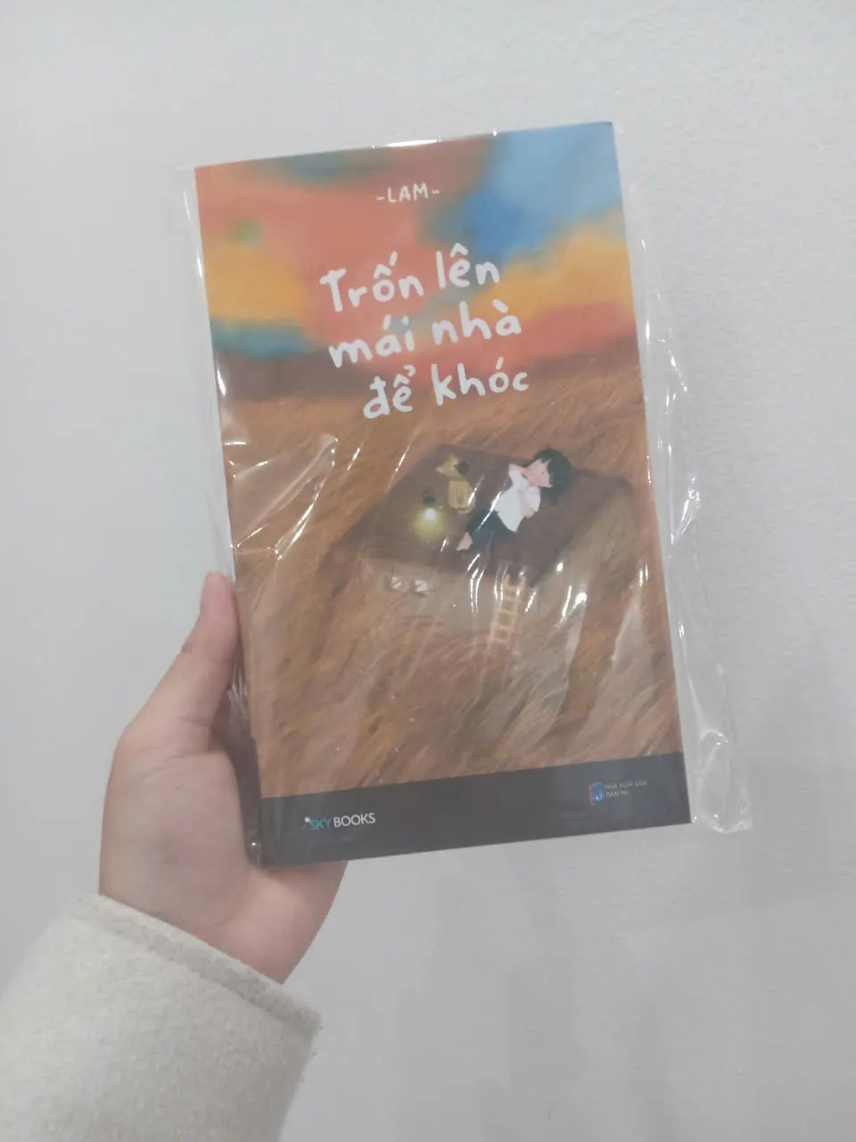 Trốn lên mái nhà để khóc