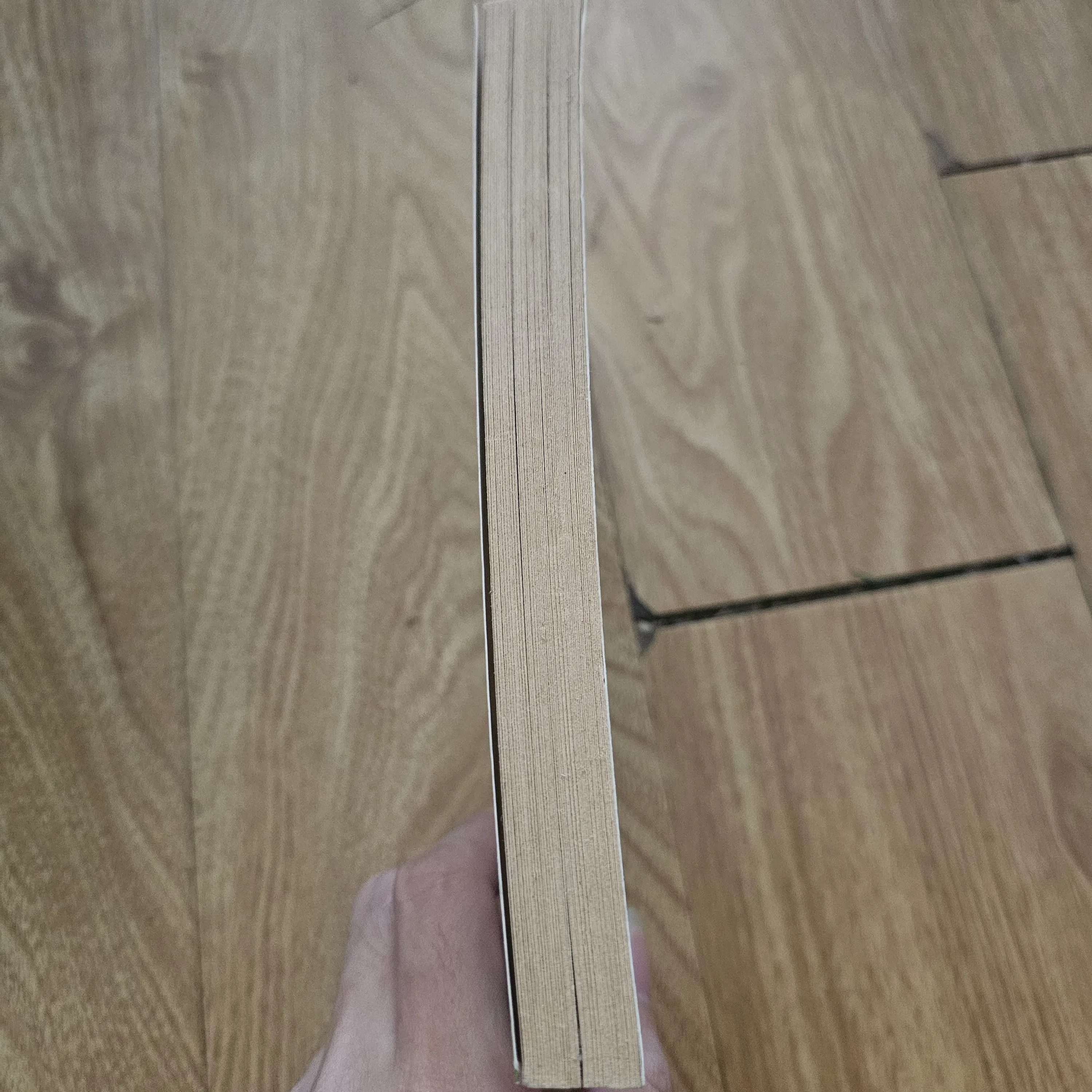 Time Cat 
20k 673803