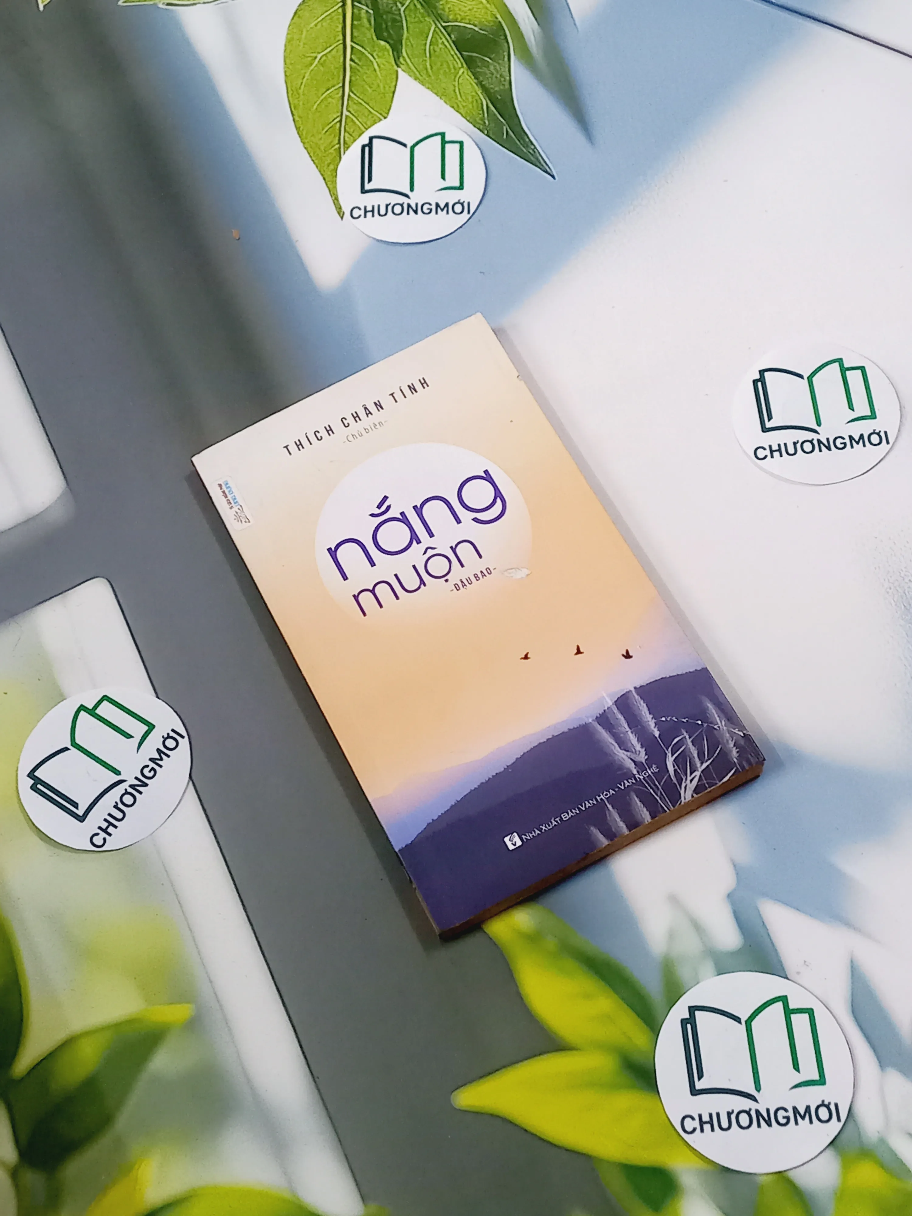 Nắng Muộn - Đậu Bảo