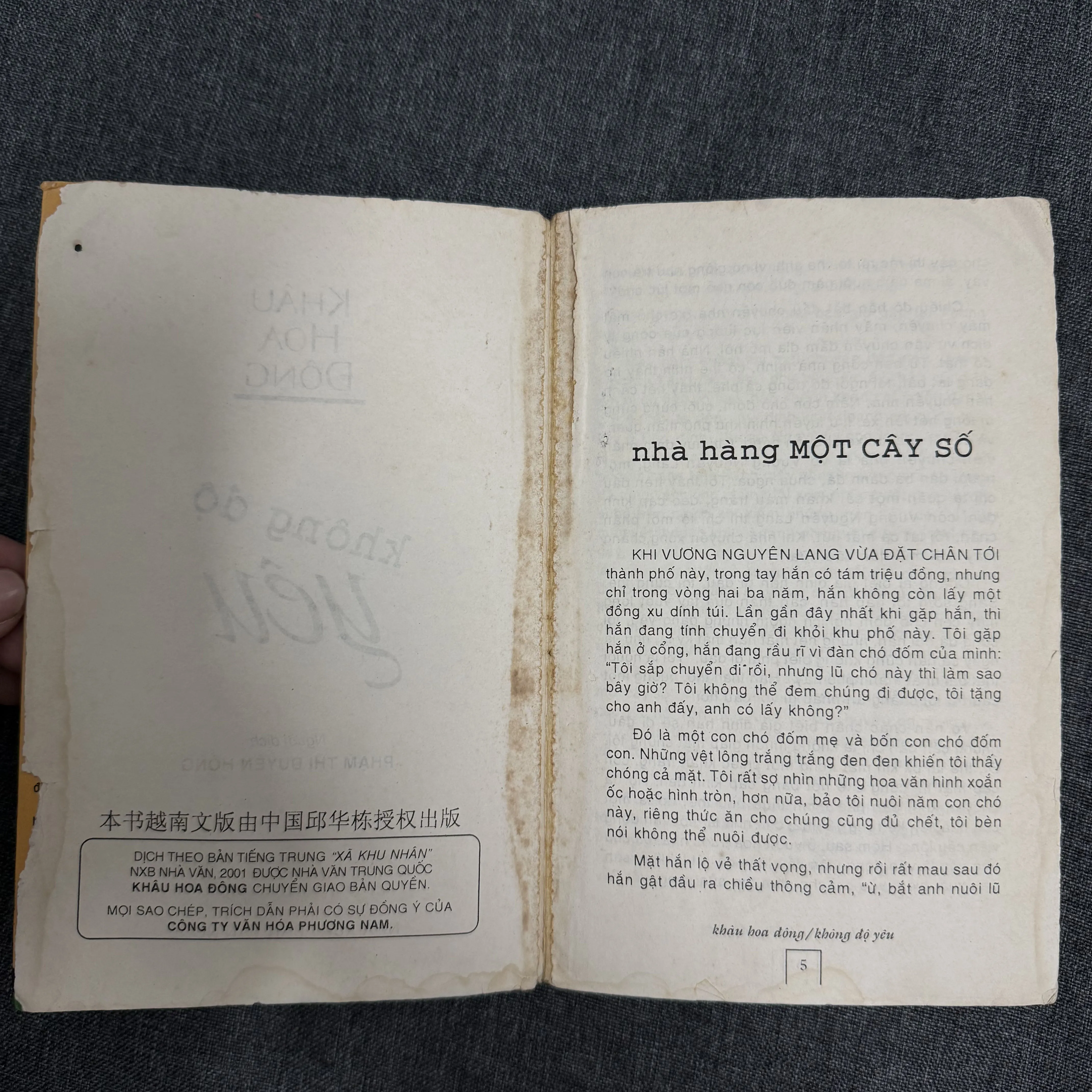 Không độ yêu - Khâu Hoa Đông 1002909