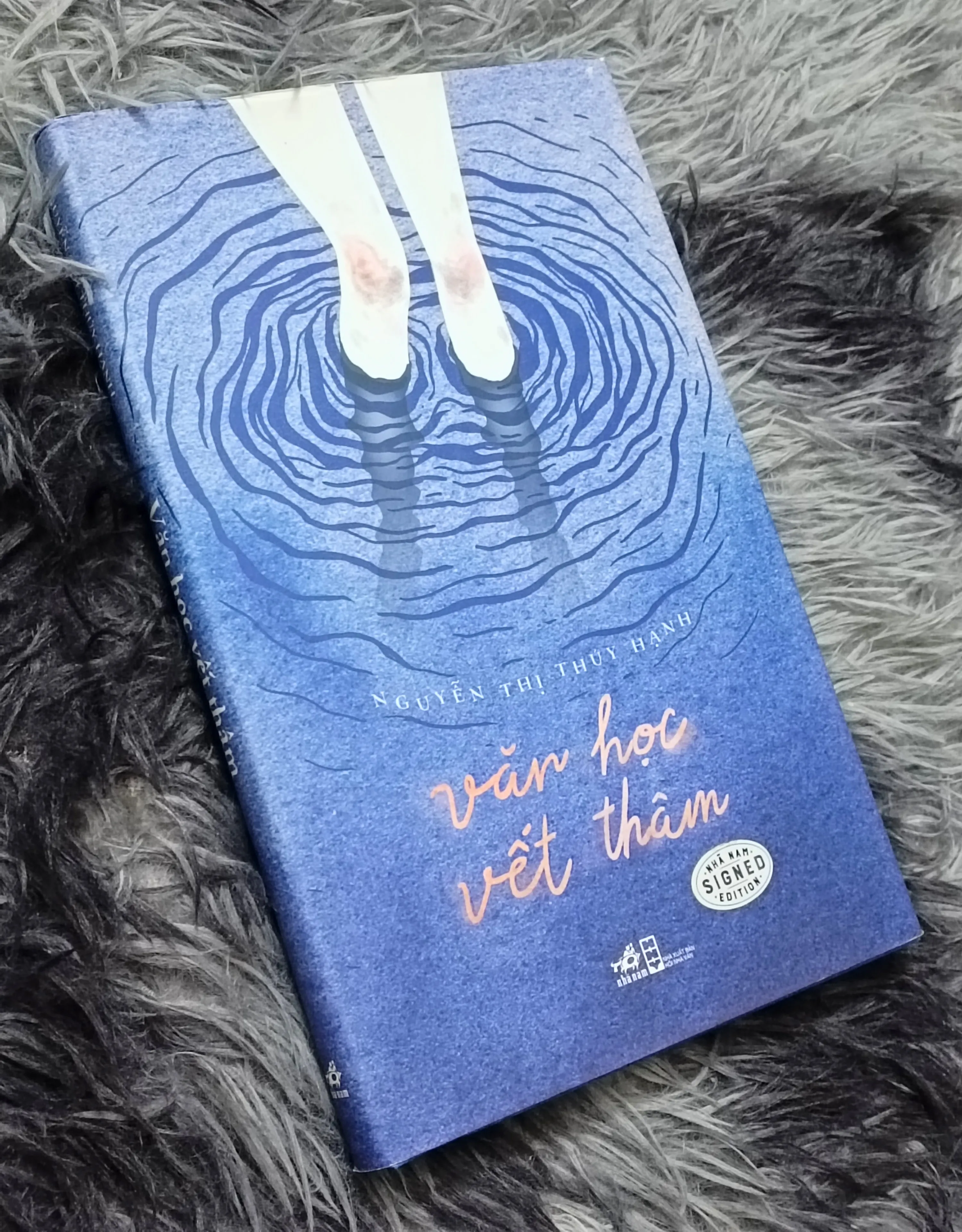 Văn học và vết thâm (Nguyễn Thị Thúy Hạnh)