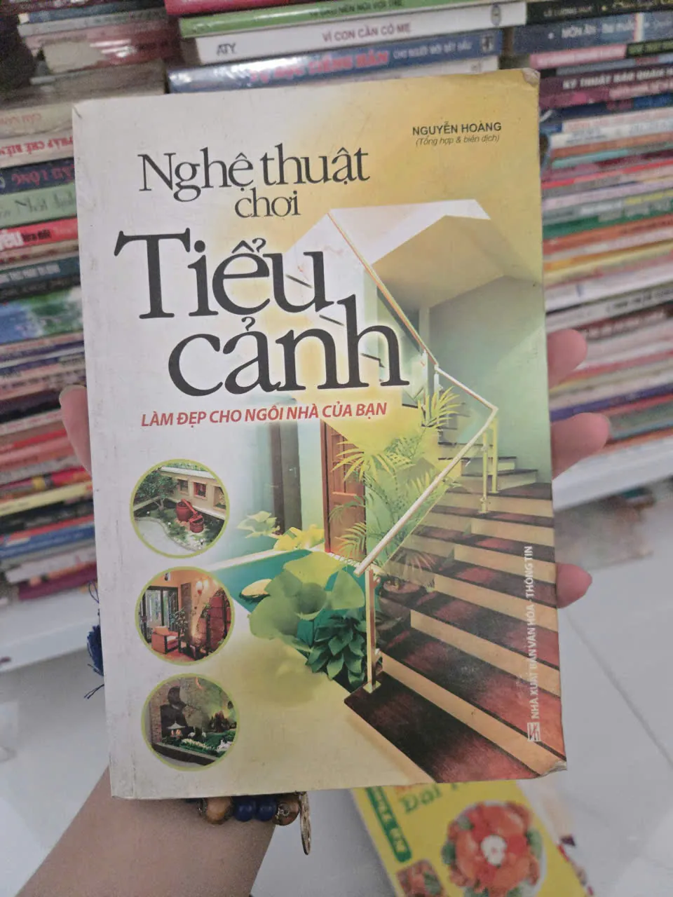 nghệ thuật chơi tiểu cảnh