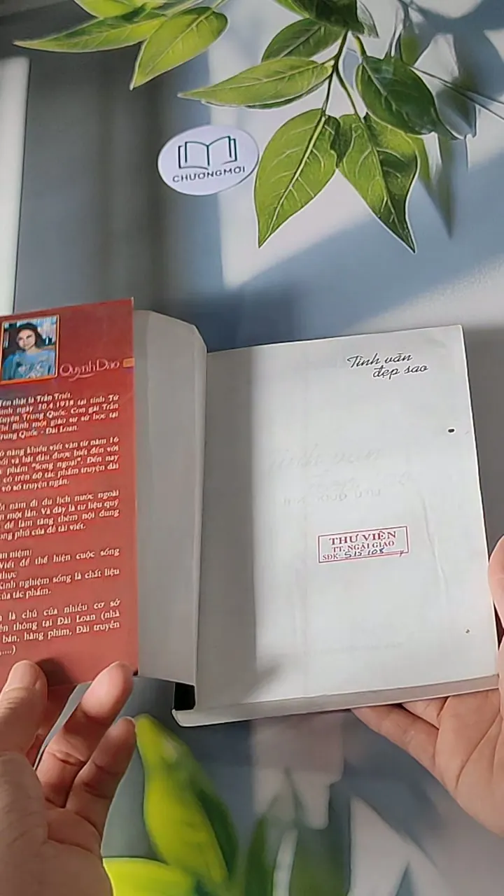 Tình vẫn đẹp sao - Quỳnh Dao 607697