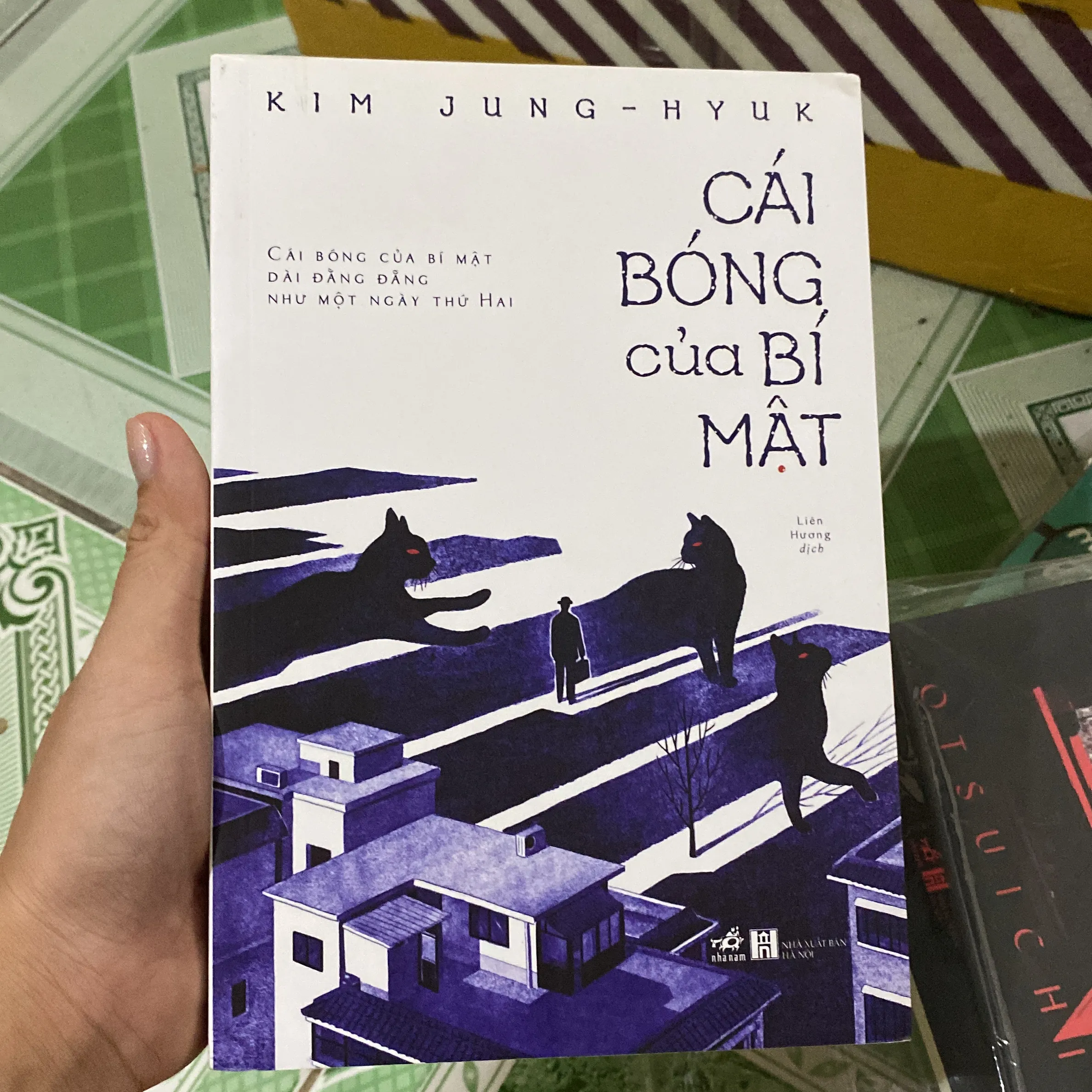 Cái bóng của bí mật