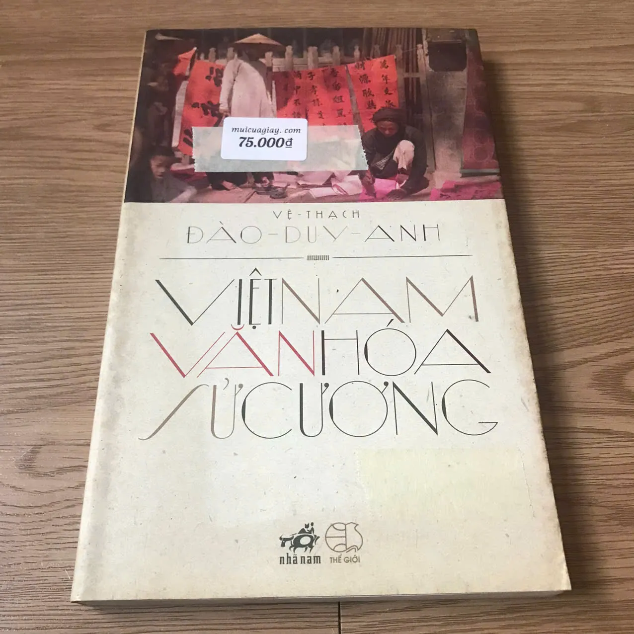 Việt Nam Văn hóa sử cương - Đào Duy Anh