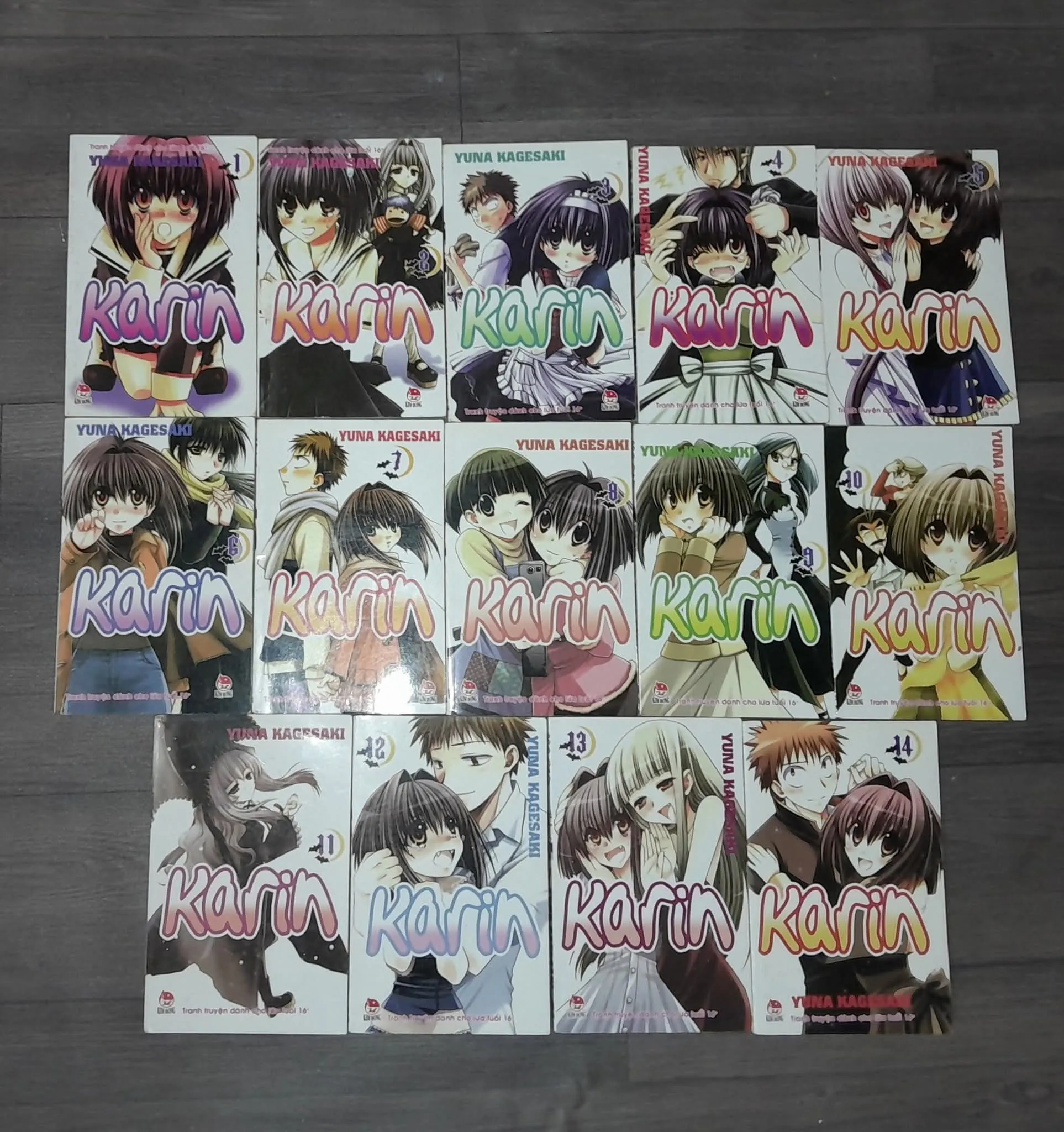 Karin ( Truyện tranh)