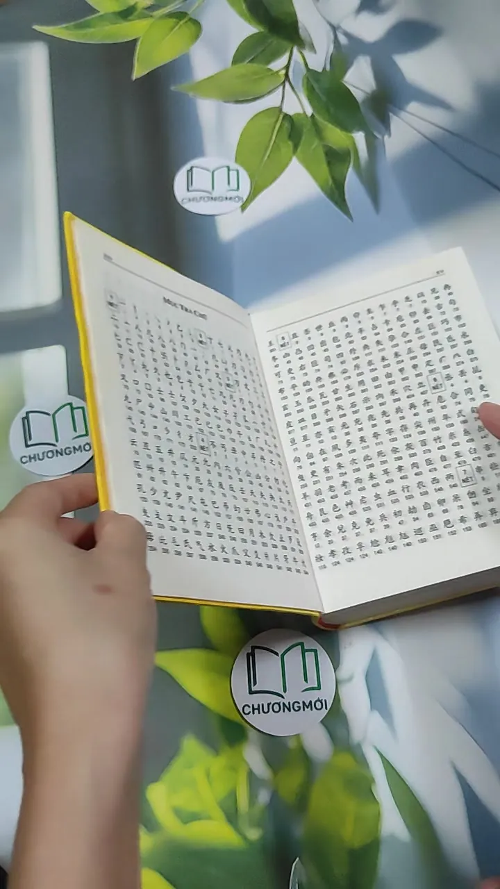 [MIỄN PHÍ BỌC SÁCH] Hán Việt Tự Điển - Thiều Chửu 750810