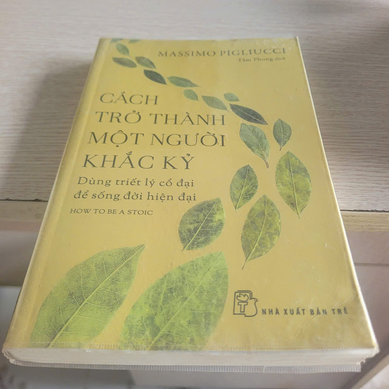 Cách Trở Thành Một Người Khắc Kỷ	Massimo Pigliucci