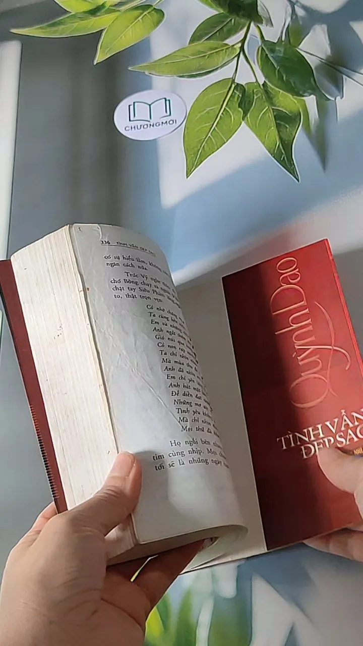 Tình vẫn đẹp sao - Quỳnh Dao 607697