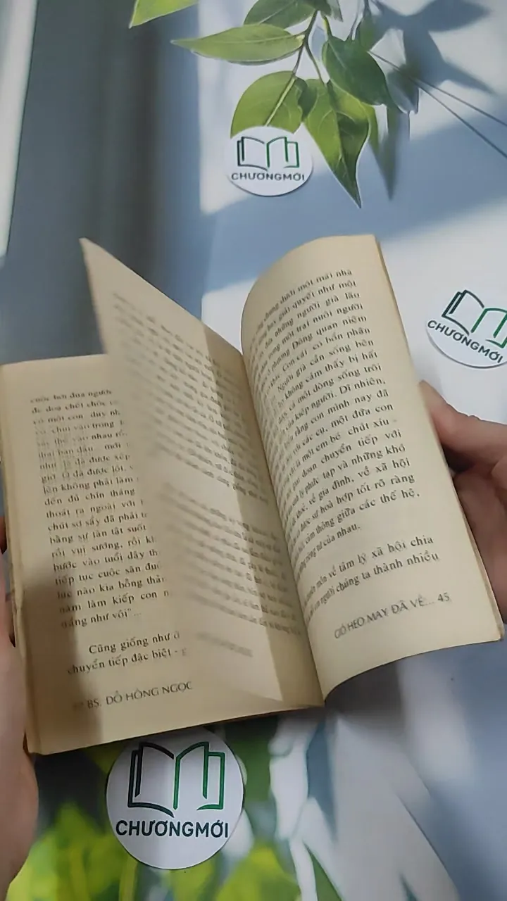 Gió Heo May Đã Về - BS Đỗ Hồng Ngọc 776045