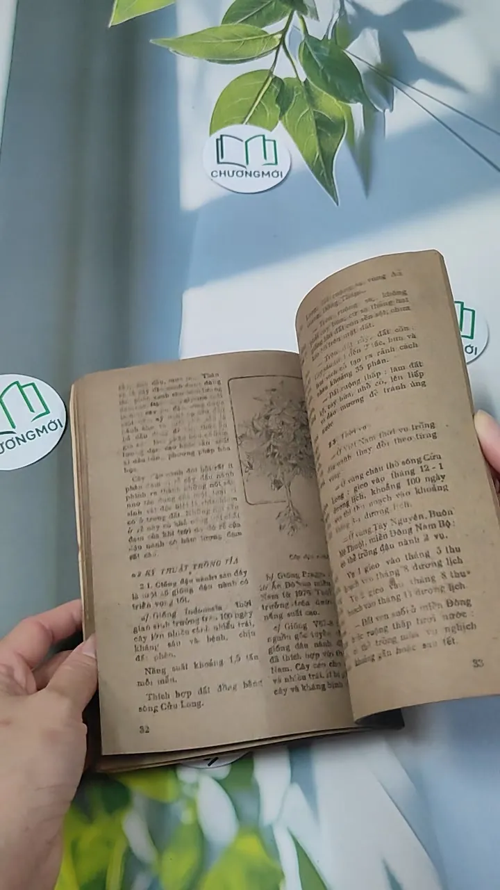 [XƯA] Khoa Học Đời Sống: Vị Ngọt Quê Hương  (1984) 776002