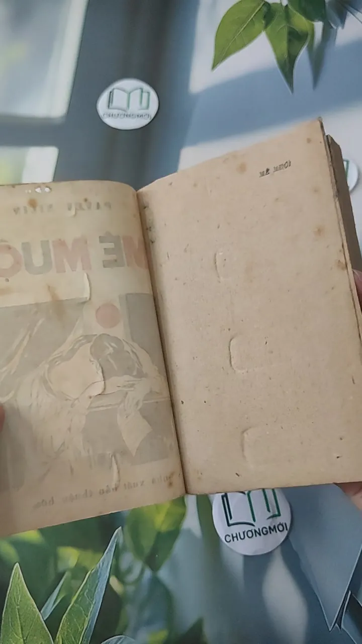 [XƯA] Mê Muội (1987) - Paven Nilin 997734