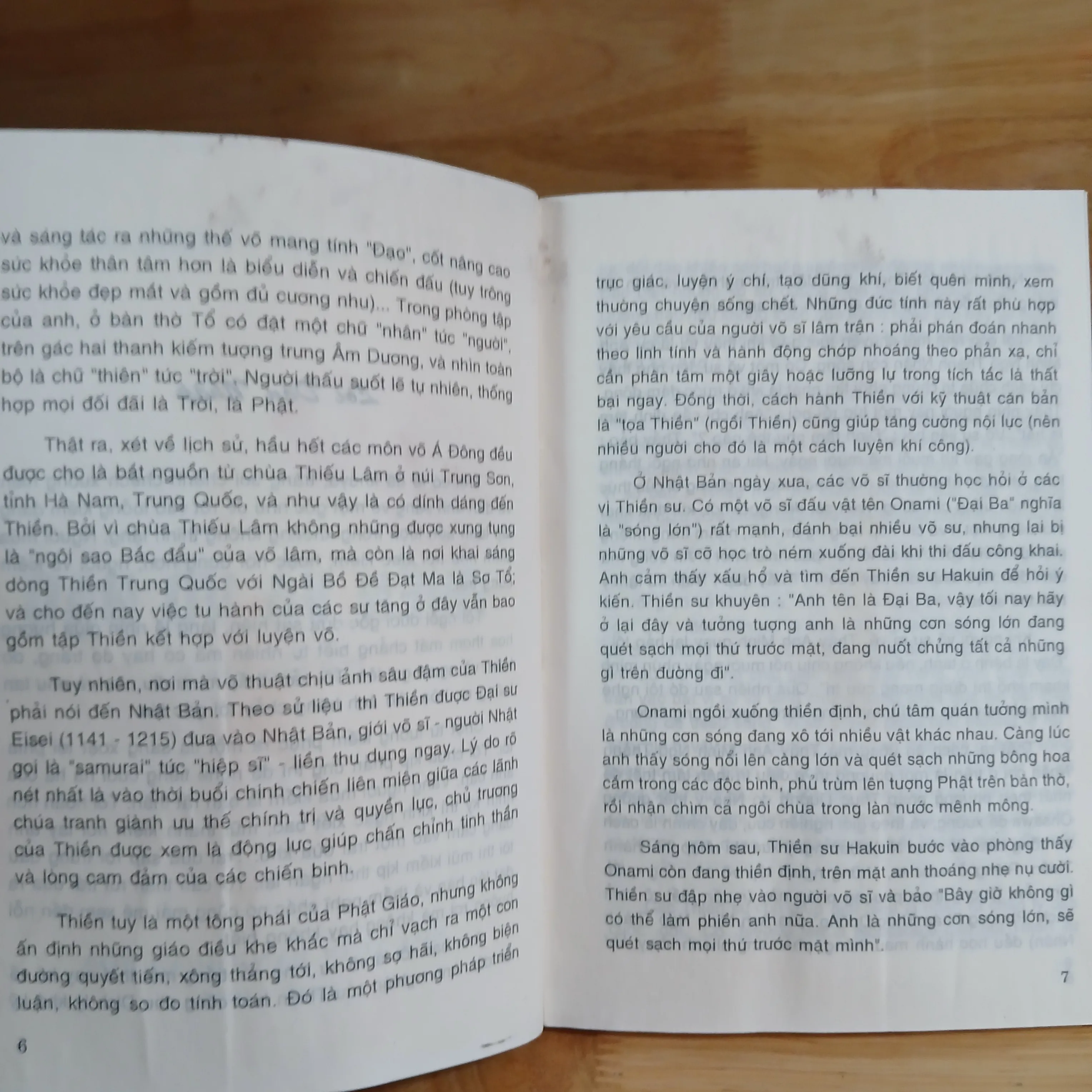 Thiền & Võ Đạo - Ngô Ánh Tuyết, Vương Long 80486