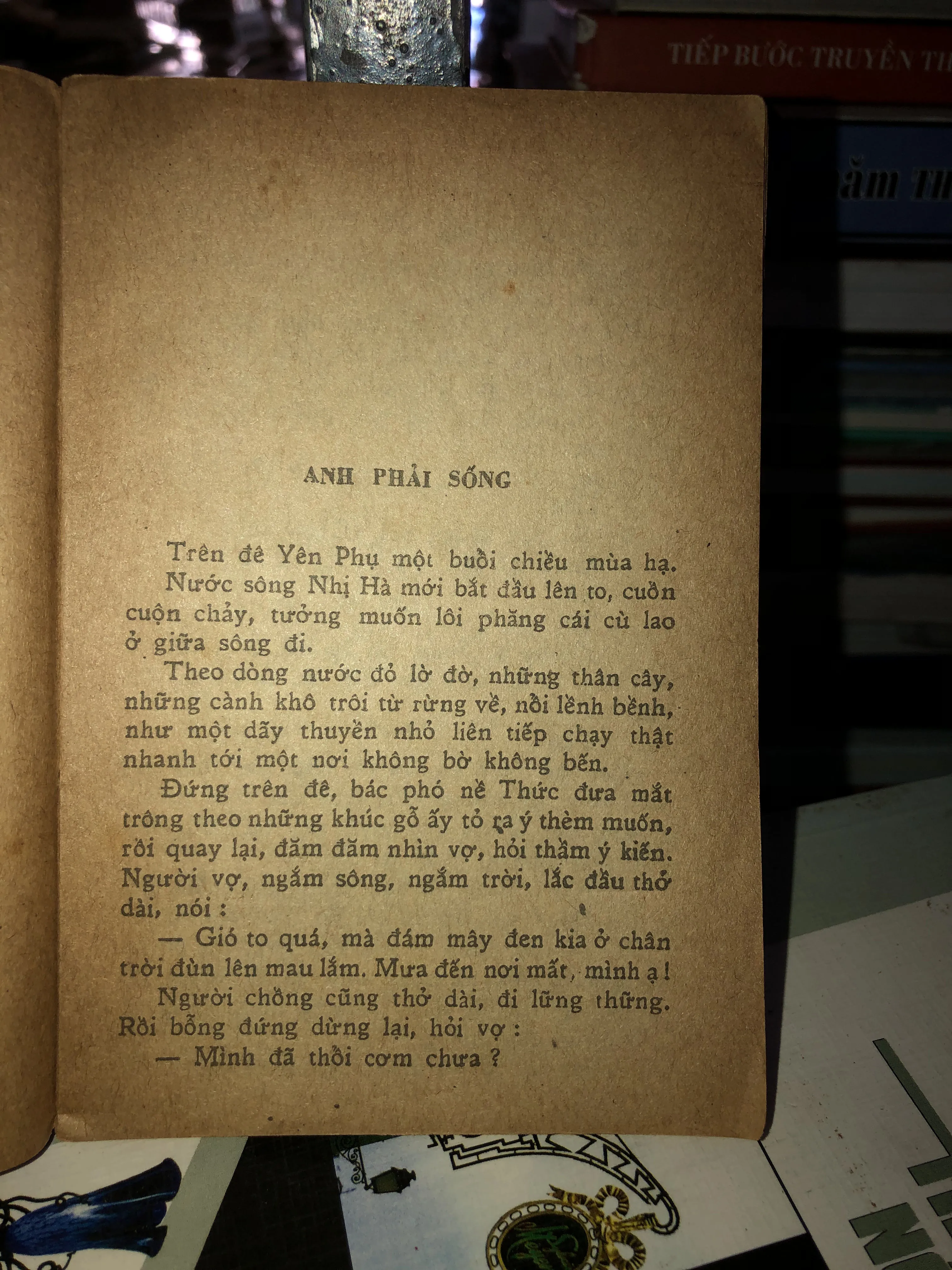 Anh phải sống - Khái Hưng 1001350