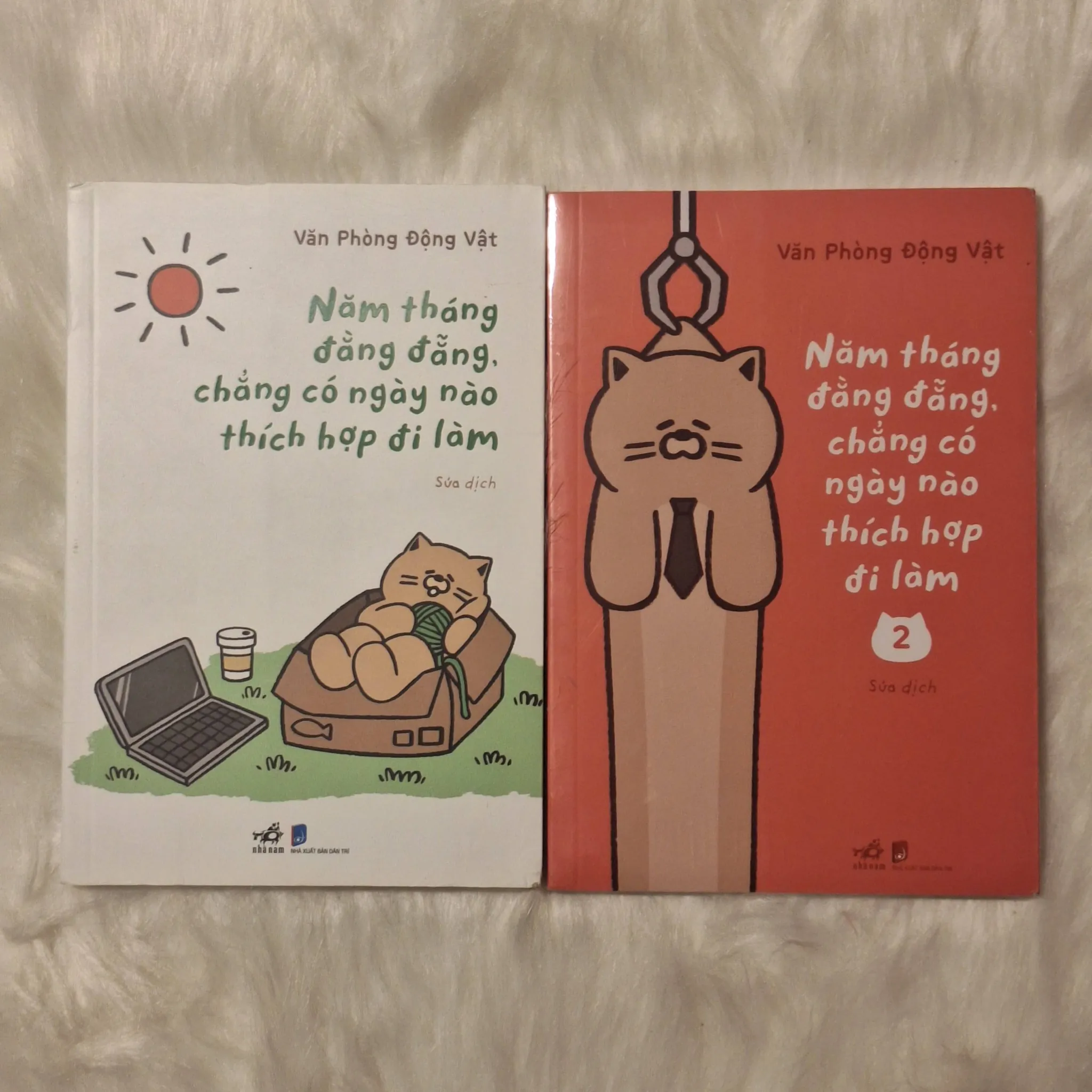 Combo Văn phòng Động Vật Năm tháng đằng đãng chẳng có ngày nào thích hợp đi làm