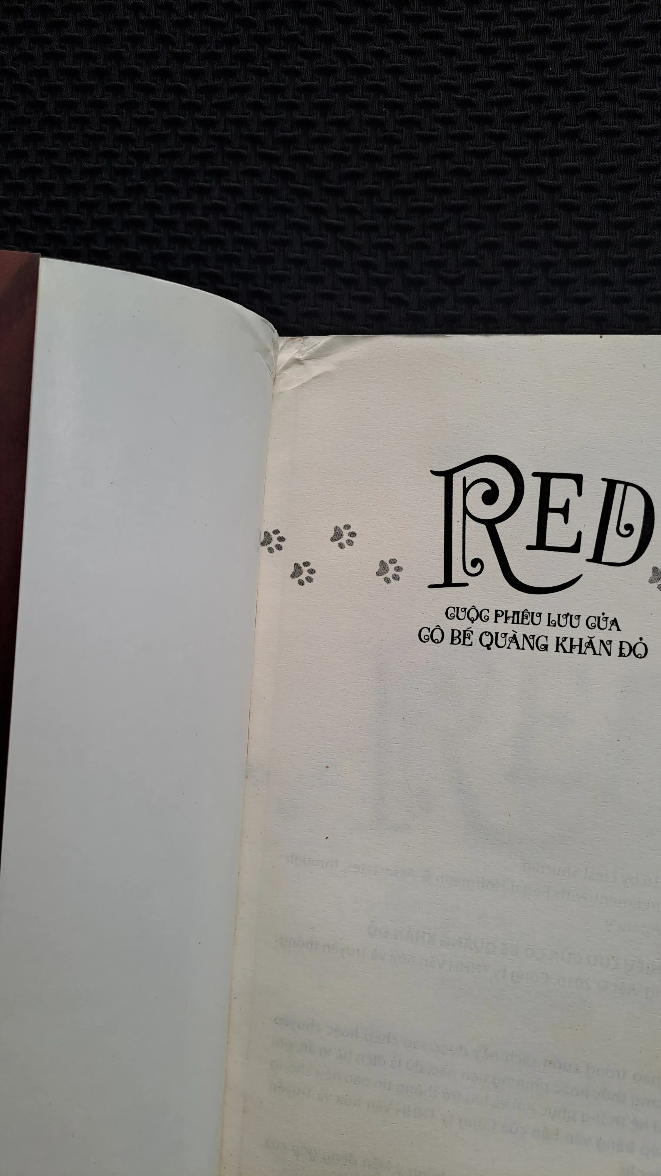 Red: Cuộc phiêu lưu của cô bé quàng khăn đỏ - Liesl Shurtliff 998574