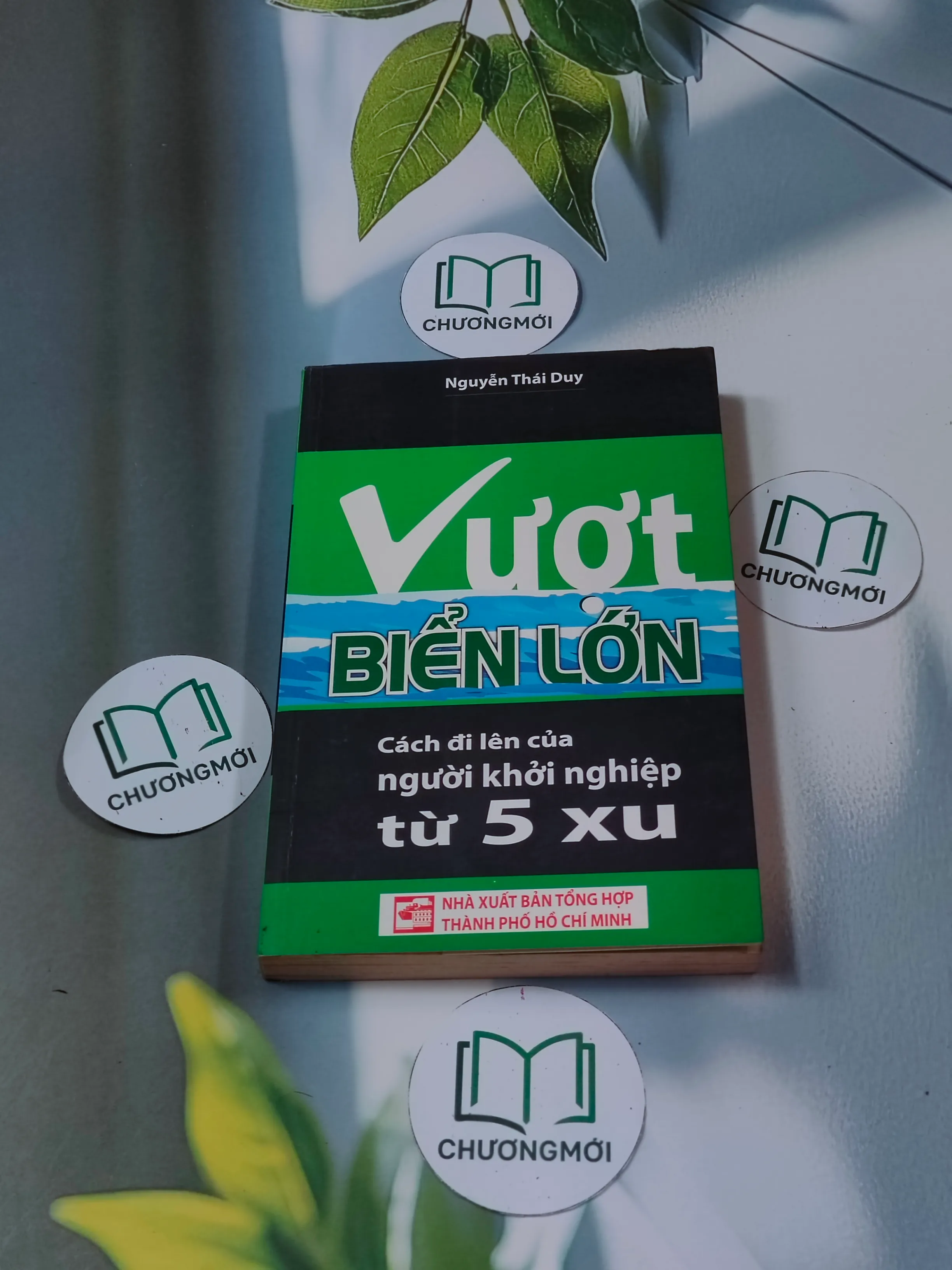 Vượt biển lớn: Cách đi lên của người khởi nghiệp từ 5 xu - Nguyễn Thái Duy