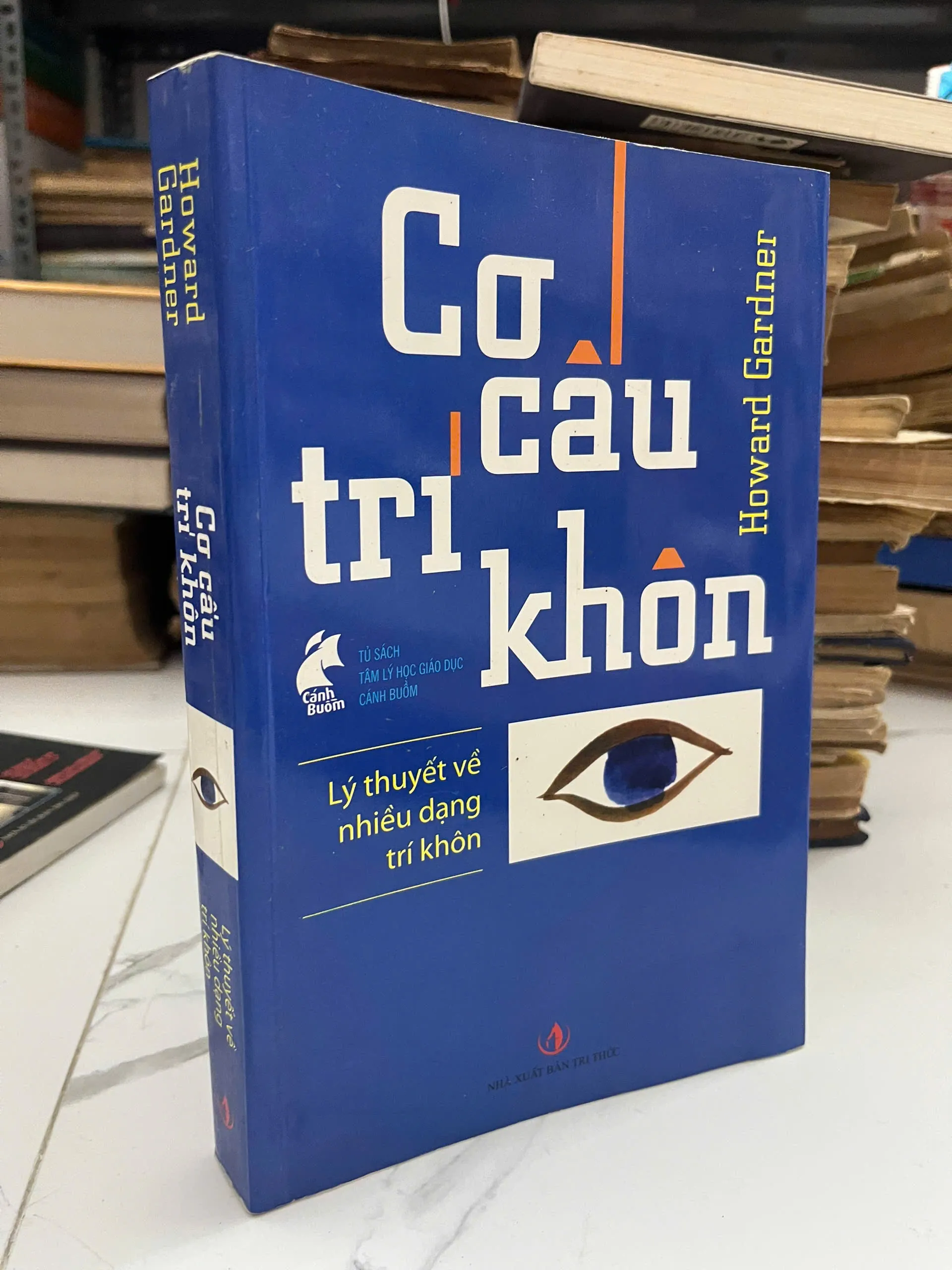 Cơ cấu trí khôn - Howard Gardner - Tâm lý học / Giáo dục
