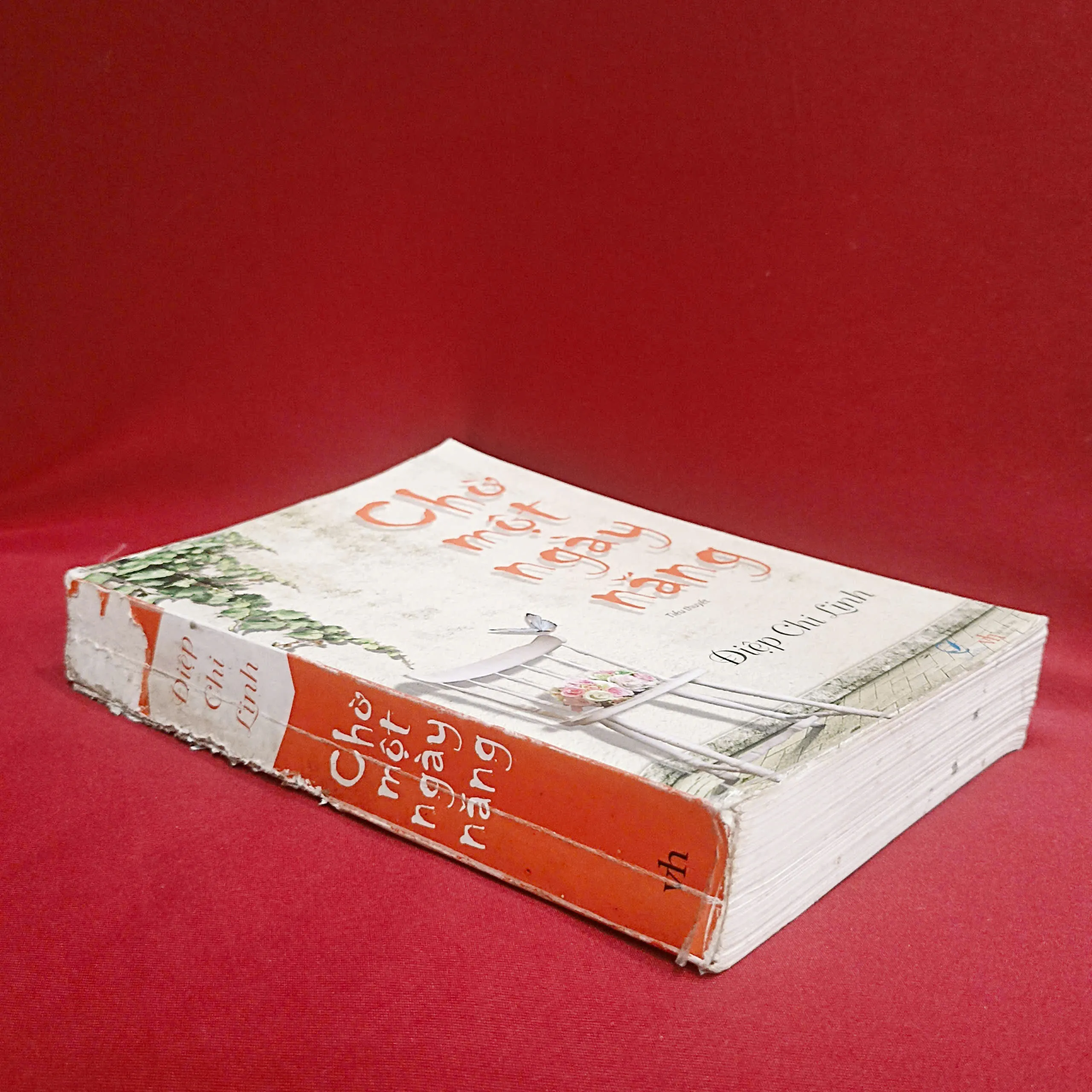 Chờ một ngày nắng 🌻