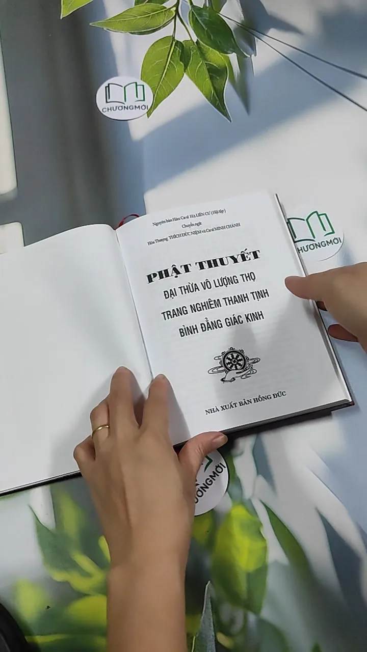 Đại Thừa Vô Lượng Thọ Trang Nghiêm Thanh Tịnh Bình Đẳng Giác Kinh - HT. Thích Đức Niệm 750812