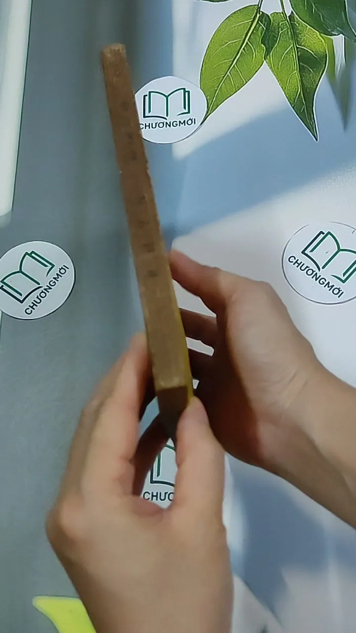 [MIỄN PHÍ BỌC SÁCH] Sử Thi Ấn Độ Ramayana (1985) 634530