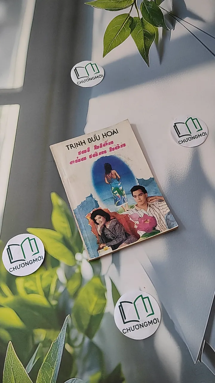 [XƯA] [HIẾM] Tai Biến Của Tâm Hồn (1989) - Trịnh Bửu Hoài