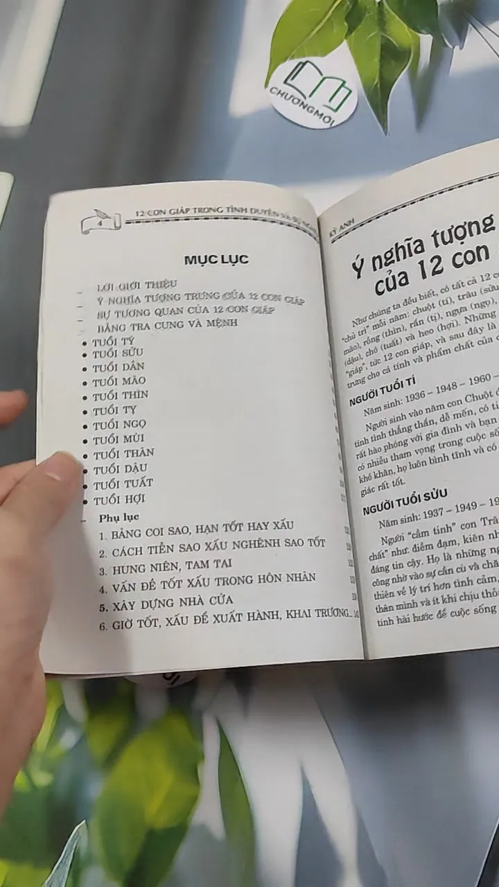 12 Con Giáp: Tình Duyên & Sự Nghiệp - Kỳ Anh 776127