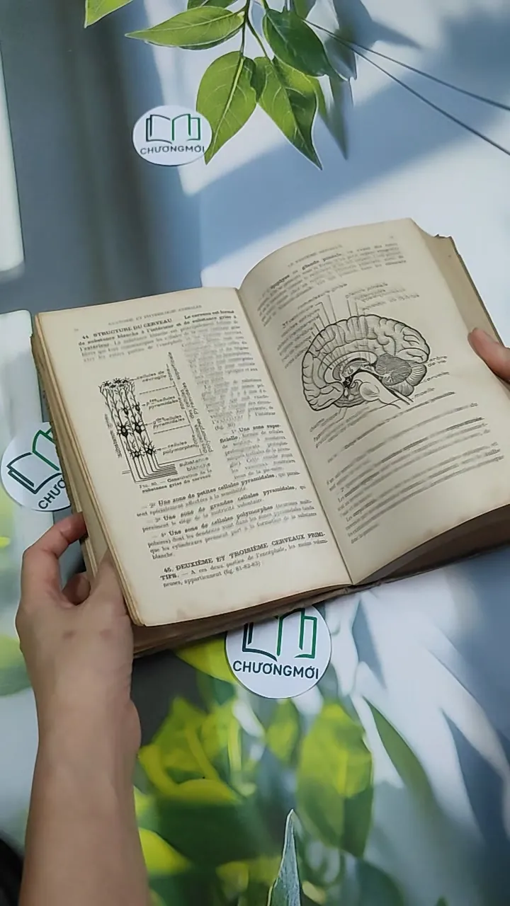 [MIỄN PHÍ BỌC SÁCH] Sciences Naturelles - Collectif 750826