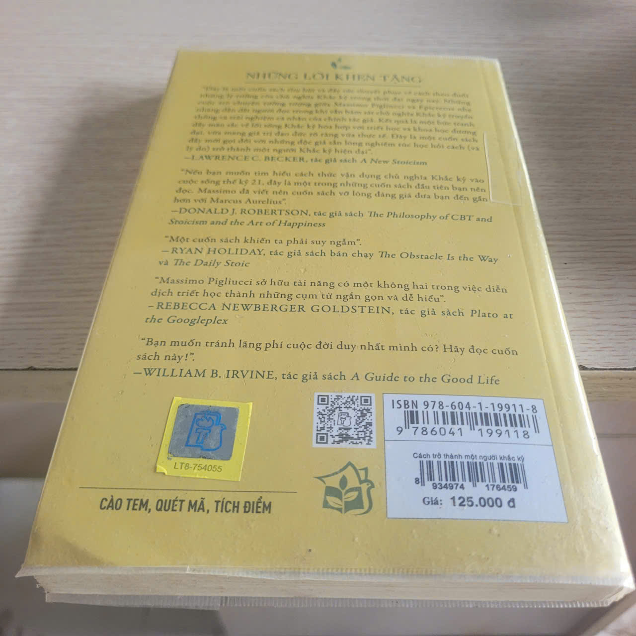 Cách Trở Thành Một Người Khắc Kỷ	Massimo Pigliucci 522583