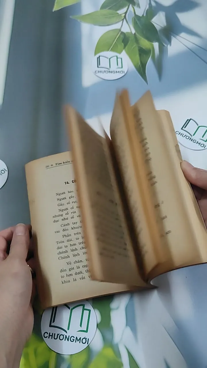 Tìm Hiểu Nhân Tướng Học - Trúc Viên 776043