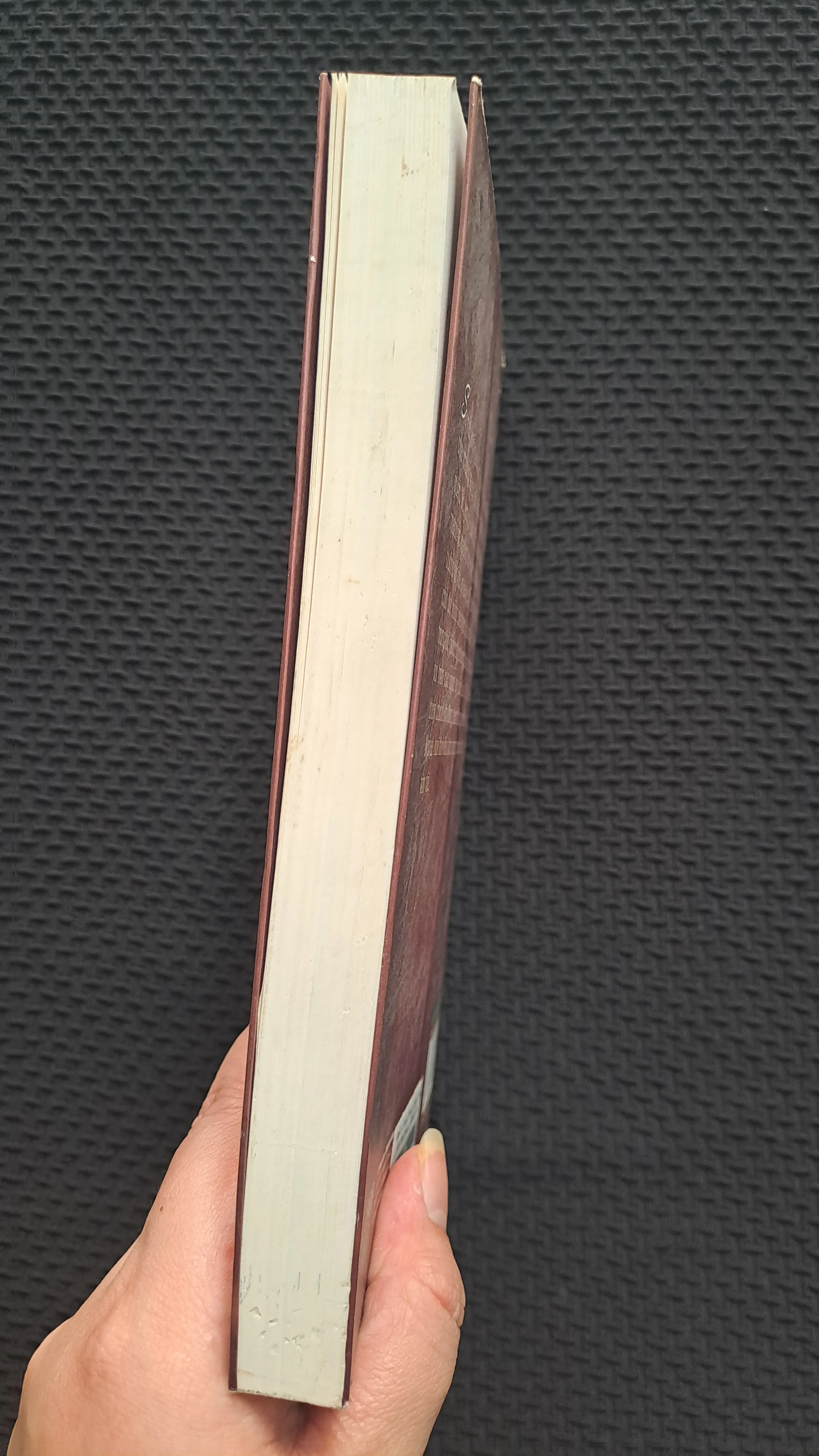 Red: Cuộc phiêu lưu của cô bé quàng khăn đỏ - Liesl Shurtliff 998574