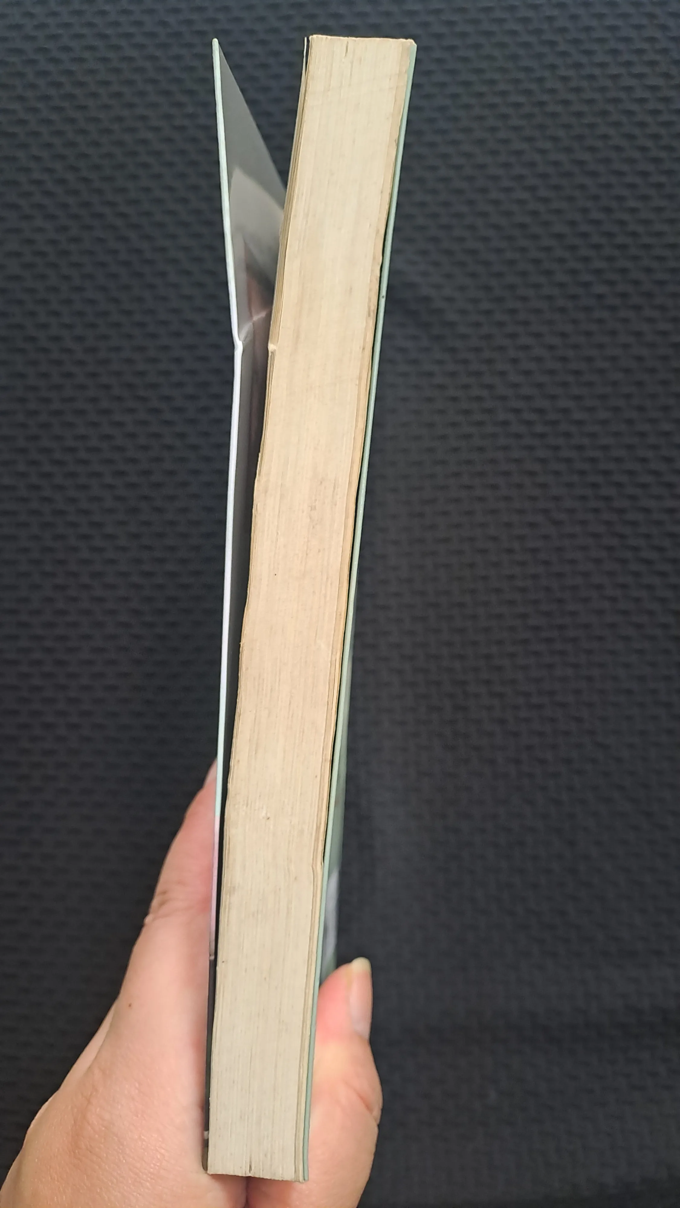 Vào trong hoang dã - Jon Krakaer 1001260