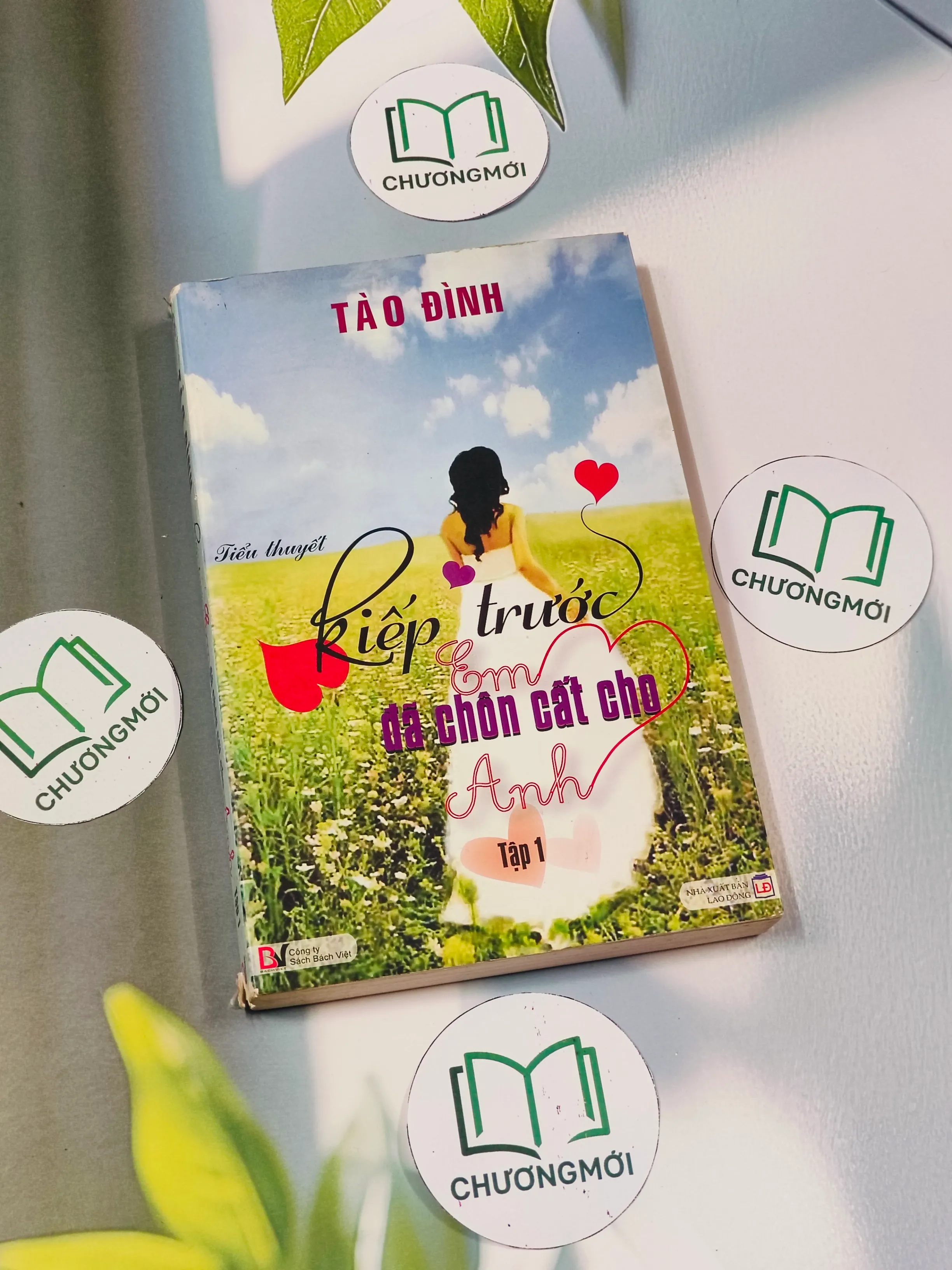 Kiếp trước em đã chôn cất cho anh (Tập 1) - Tào Đình