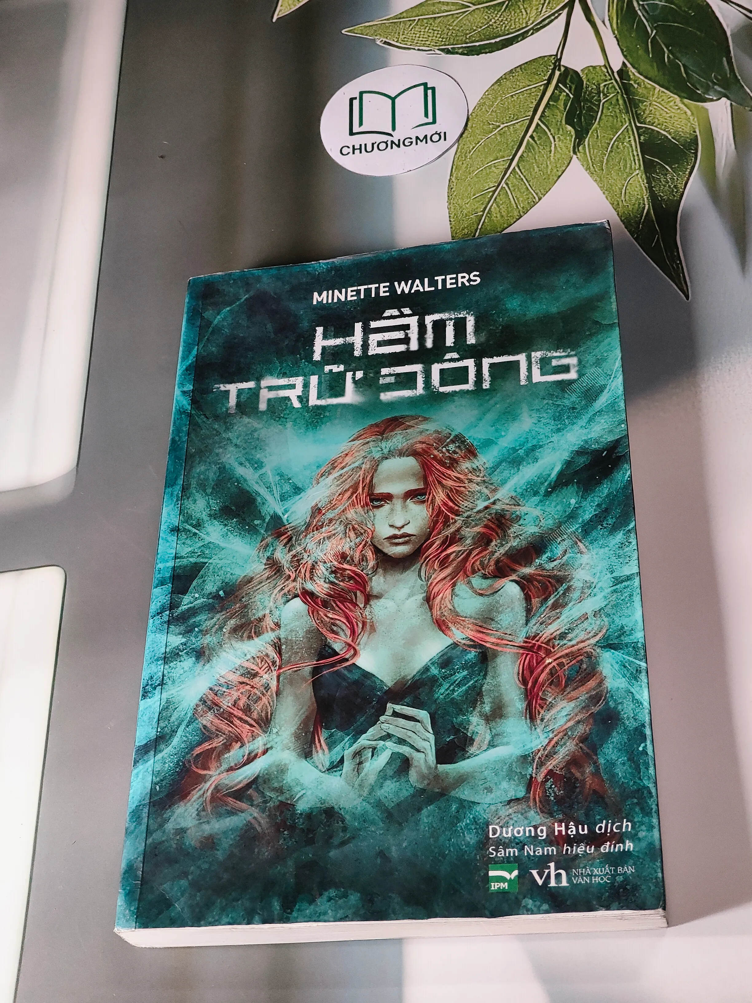 Hầm Trữ Đông (2006) - Minette Walters