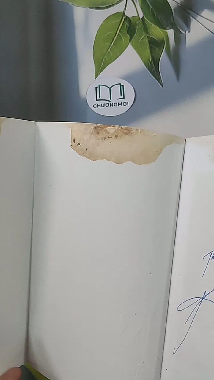 NYM Tôi của tương lai - Nguyễn Phi Vân 688506