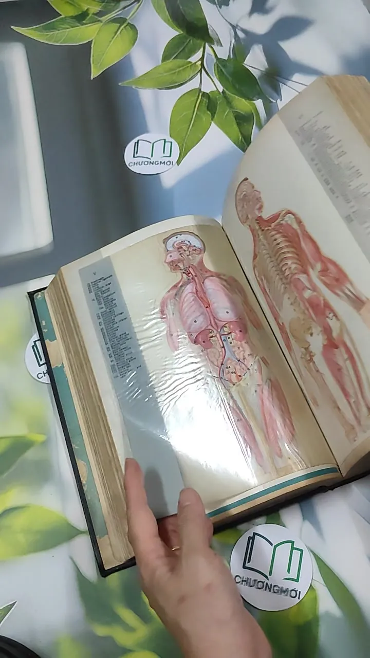 [MIỄN PHÍ BỌC SÁCH] Encyclopedia Americana 30 - Scholastic 750842