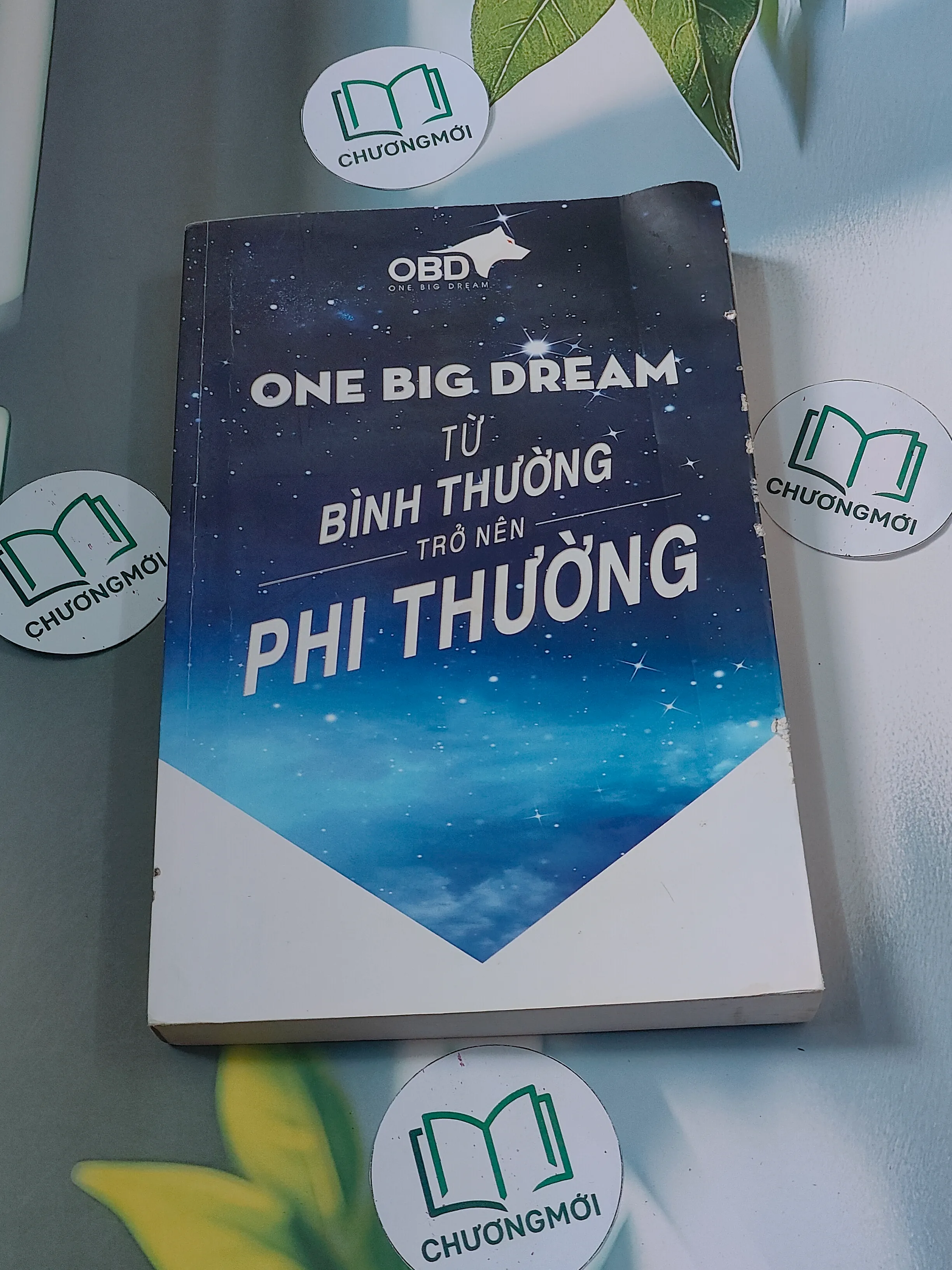 Từ bình thường trở nên phi thường - One Big Dream - Cộng đồng OBD